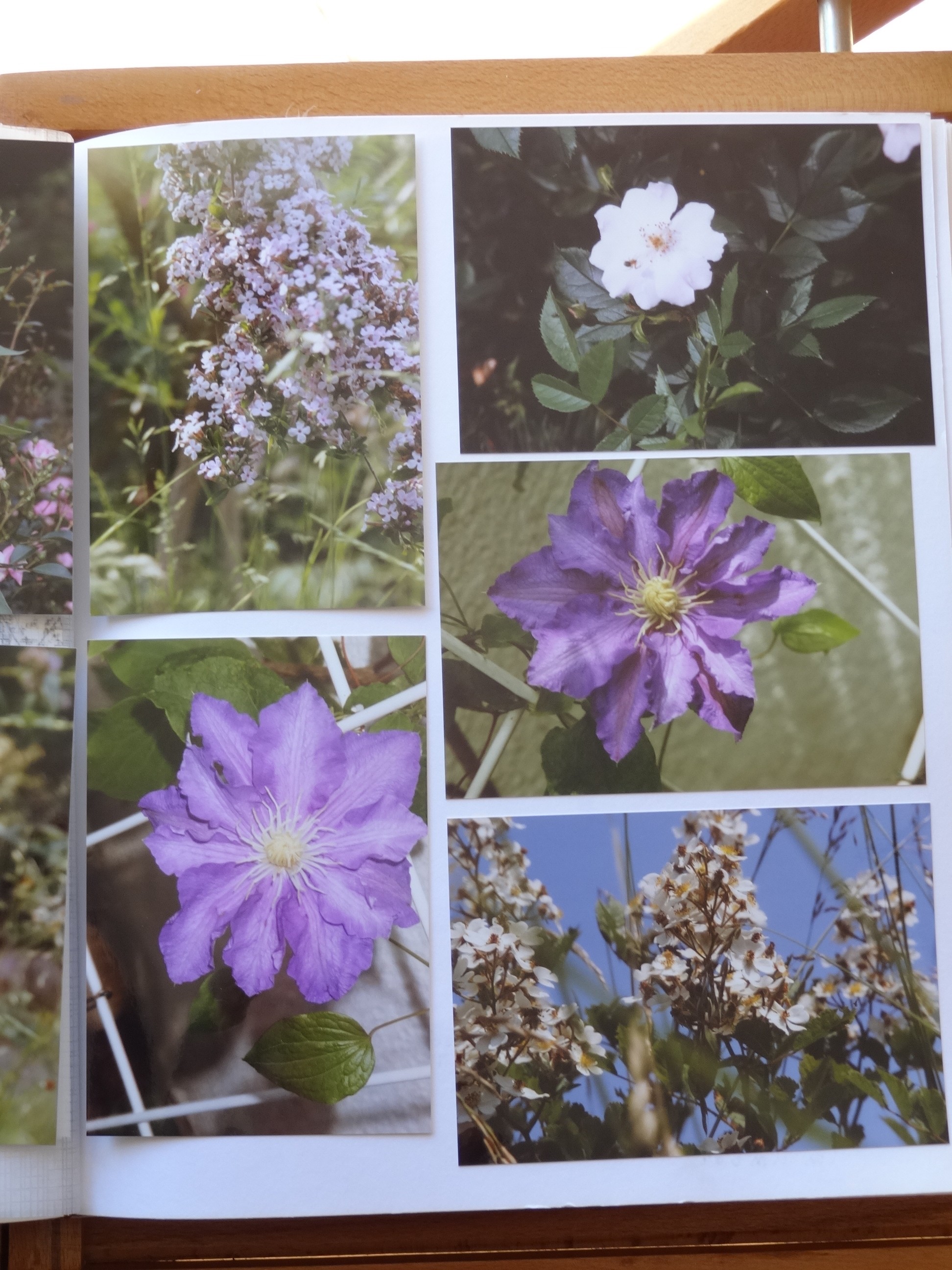 1993_140___von_Ordner___1993_1997