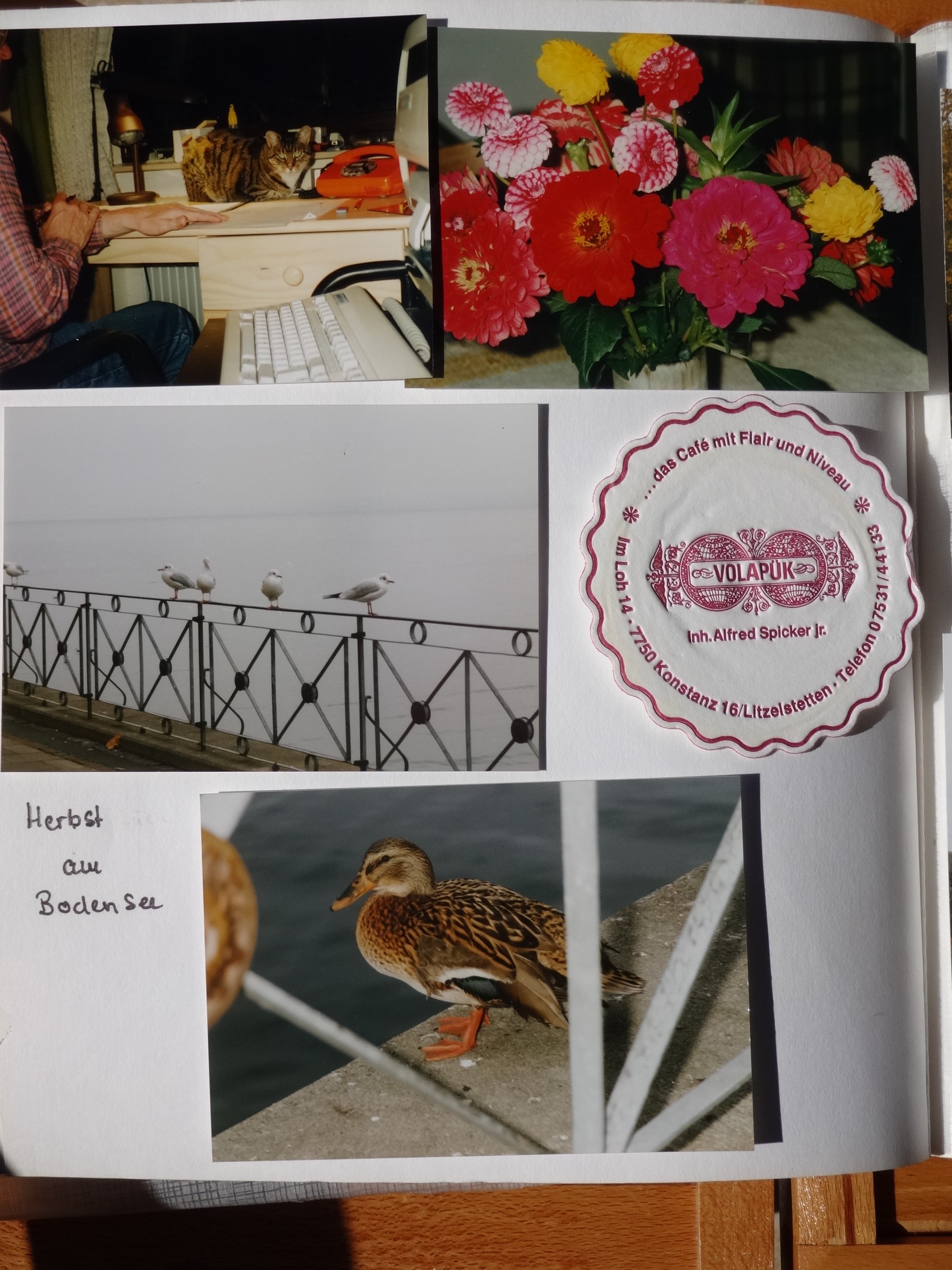 1993_250___von_Ordner___1993_1997