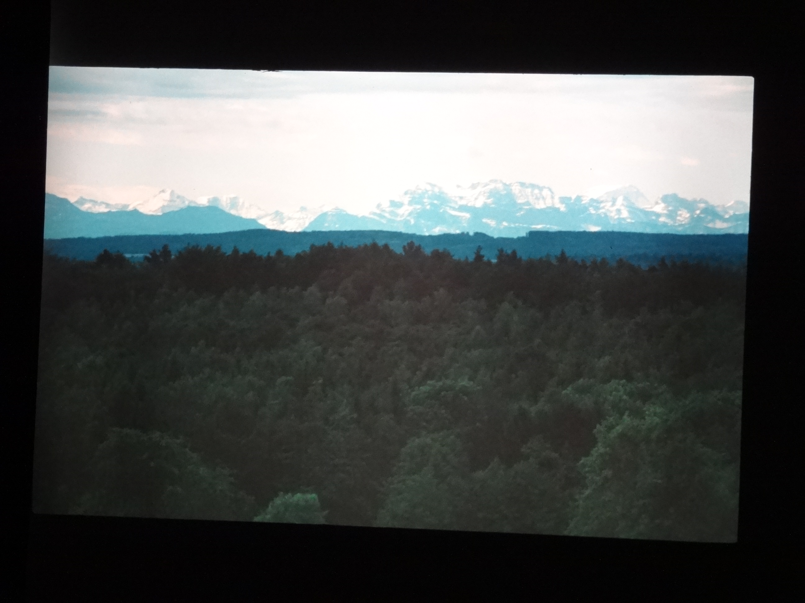 1993_bodensee030___von_Ordner___1993_pellworm_bodens_tina