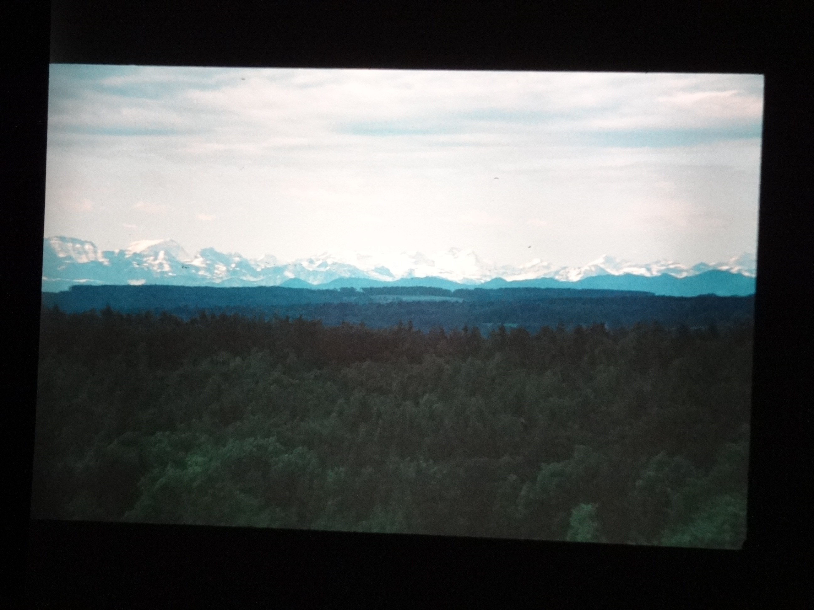 1993_bodensee040___von_Ordner___1993_pellworm_bodens_tina