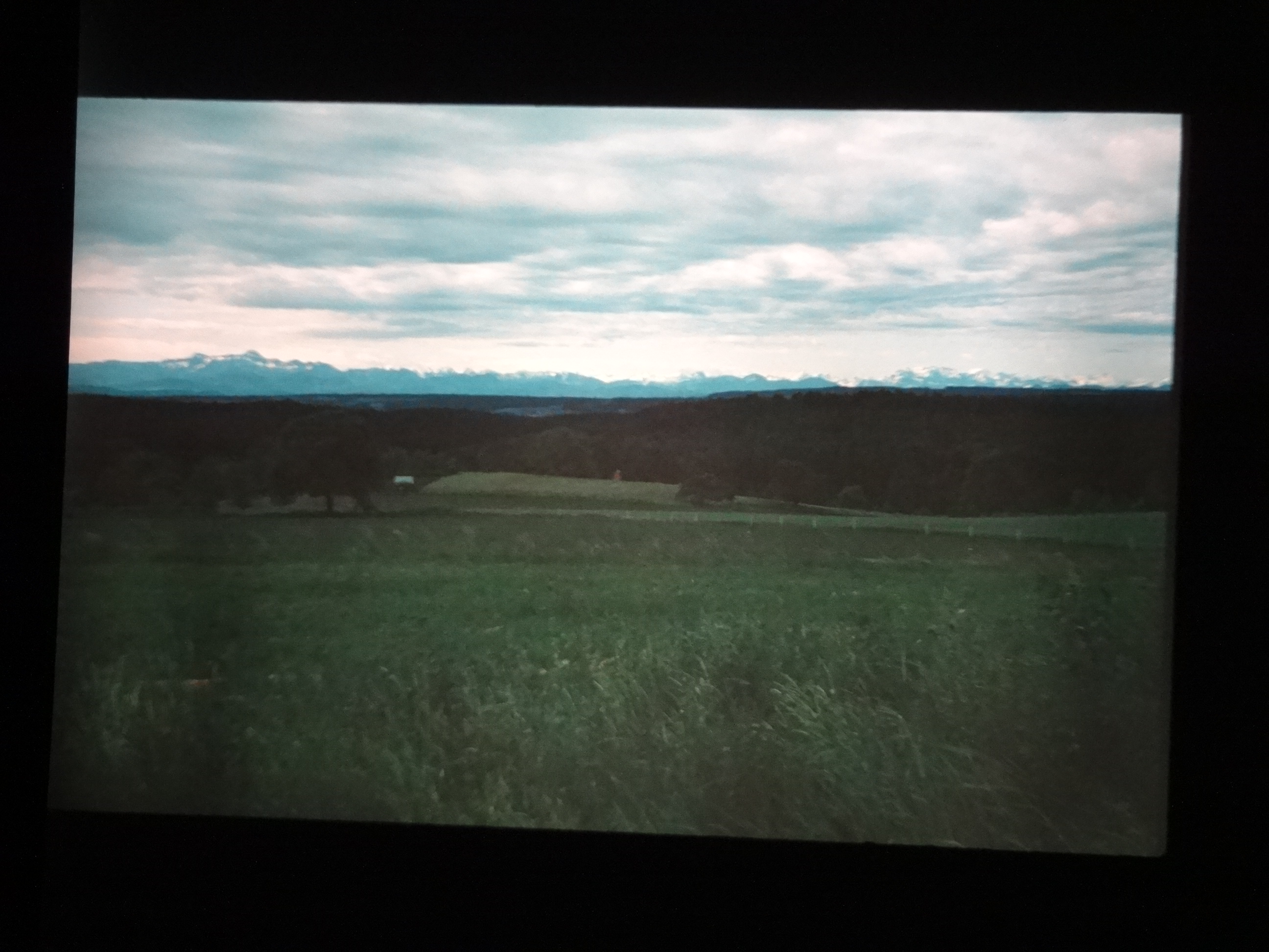 1993_bodensee050___von_Ordner___1993_pellworm_bodens_tina