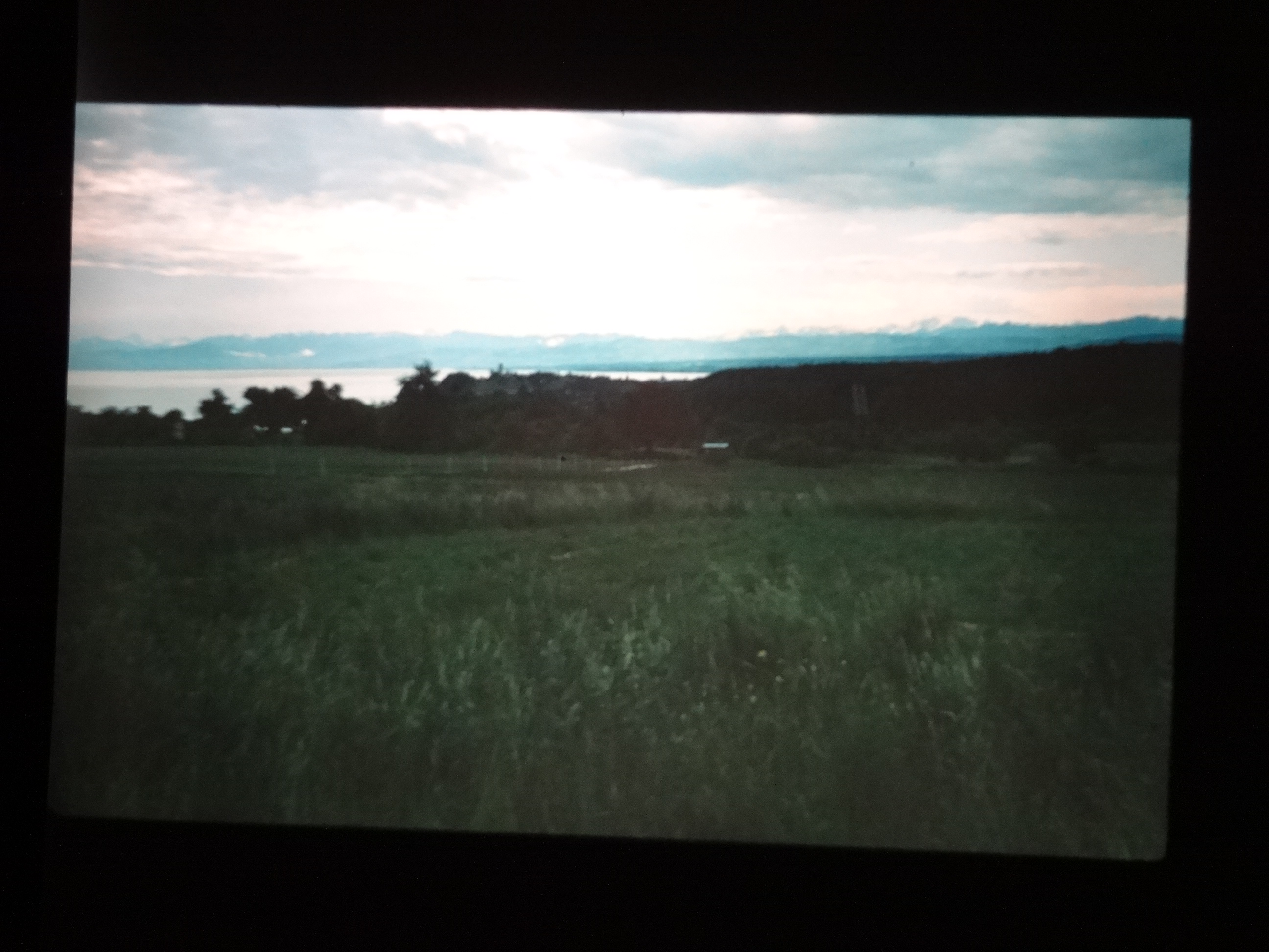 1993_bodensee060___von_Ordner___1993_pellworm_bodens_tina