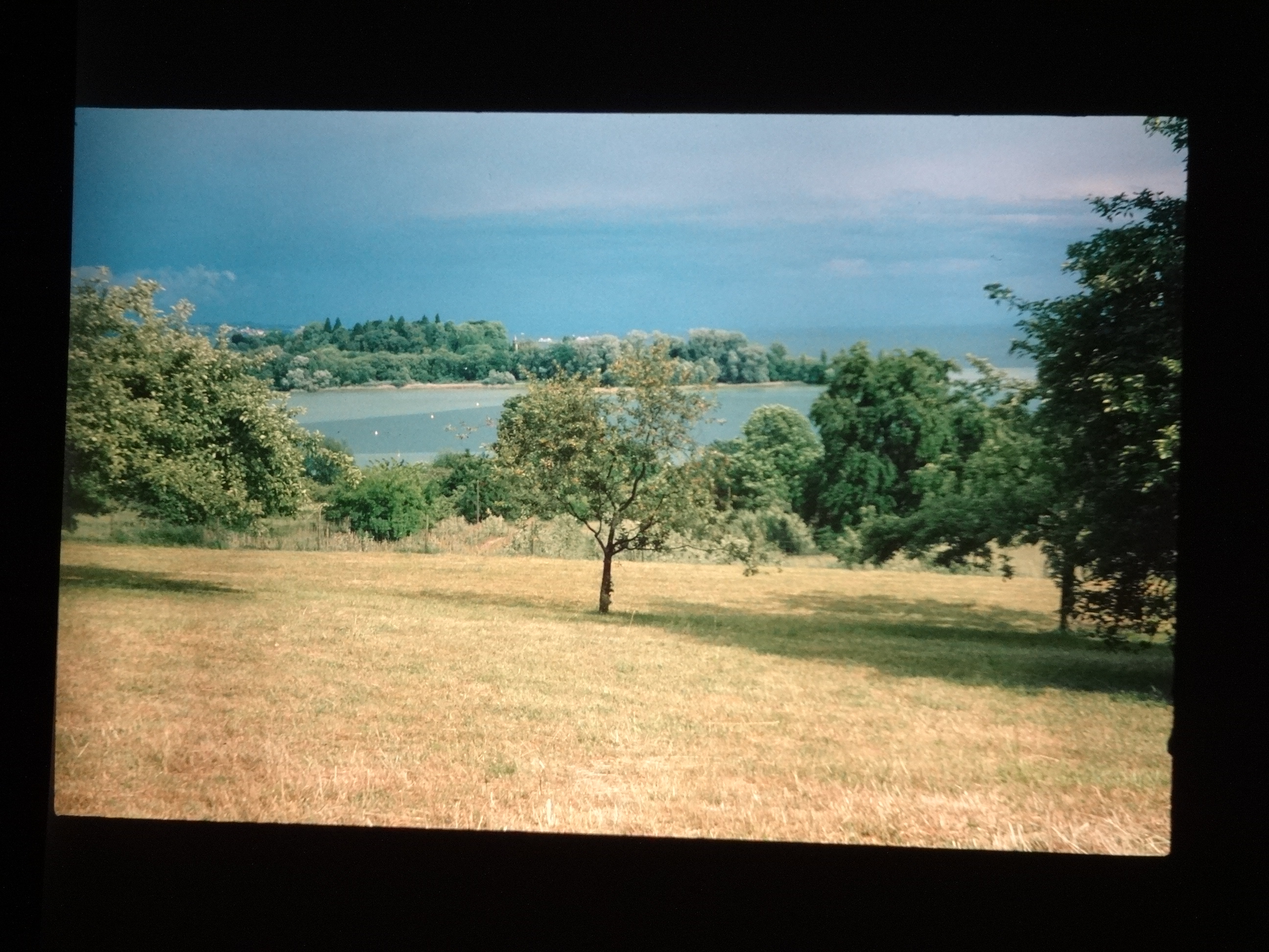 1993_bodensee070___von_Ordner___1993_pellworm_bodens_tina