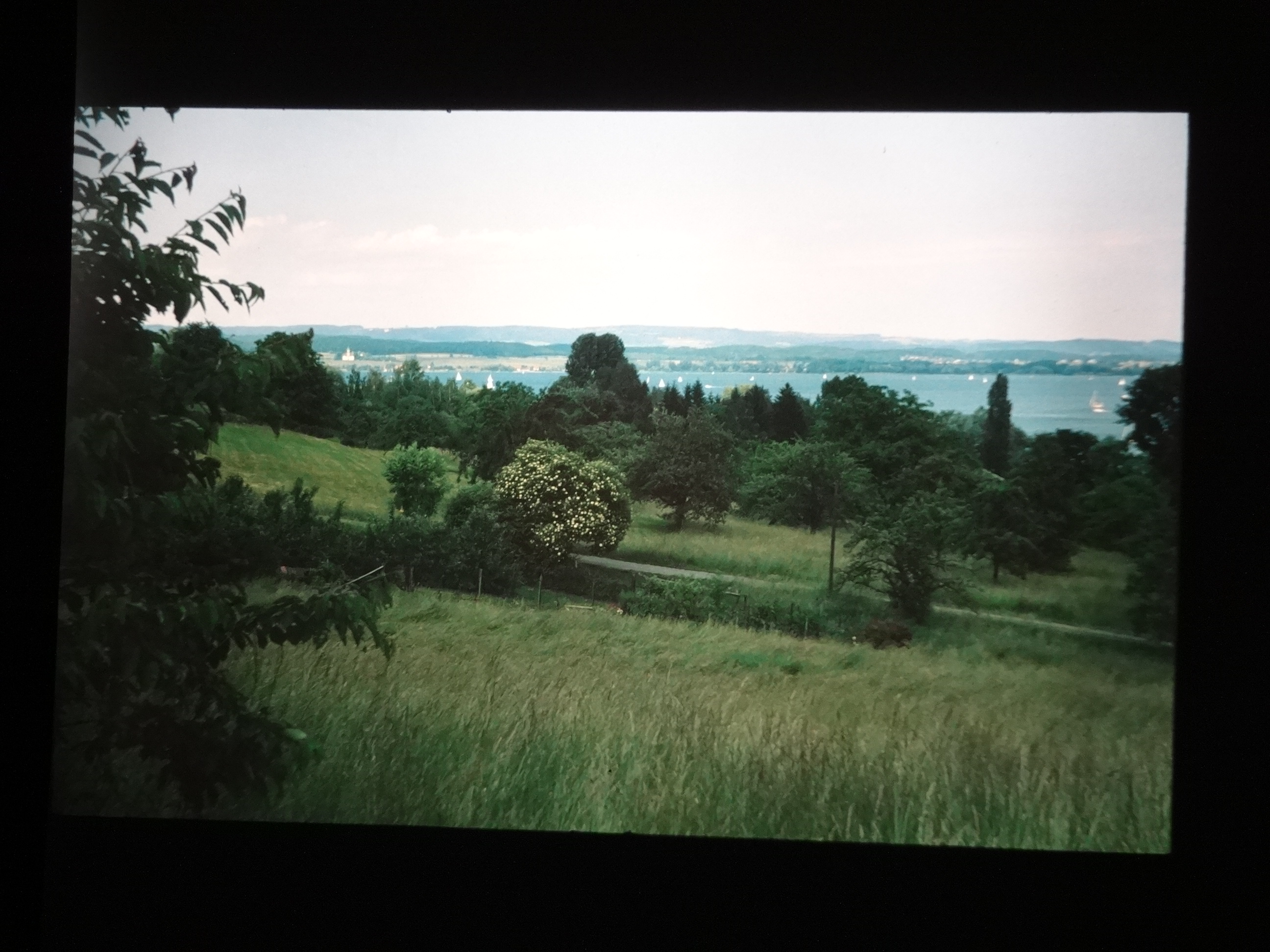 1993_bodensee080___von_Ordner___1993_pellworm_bodens_tina