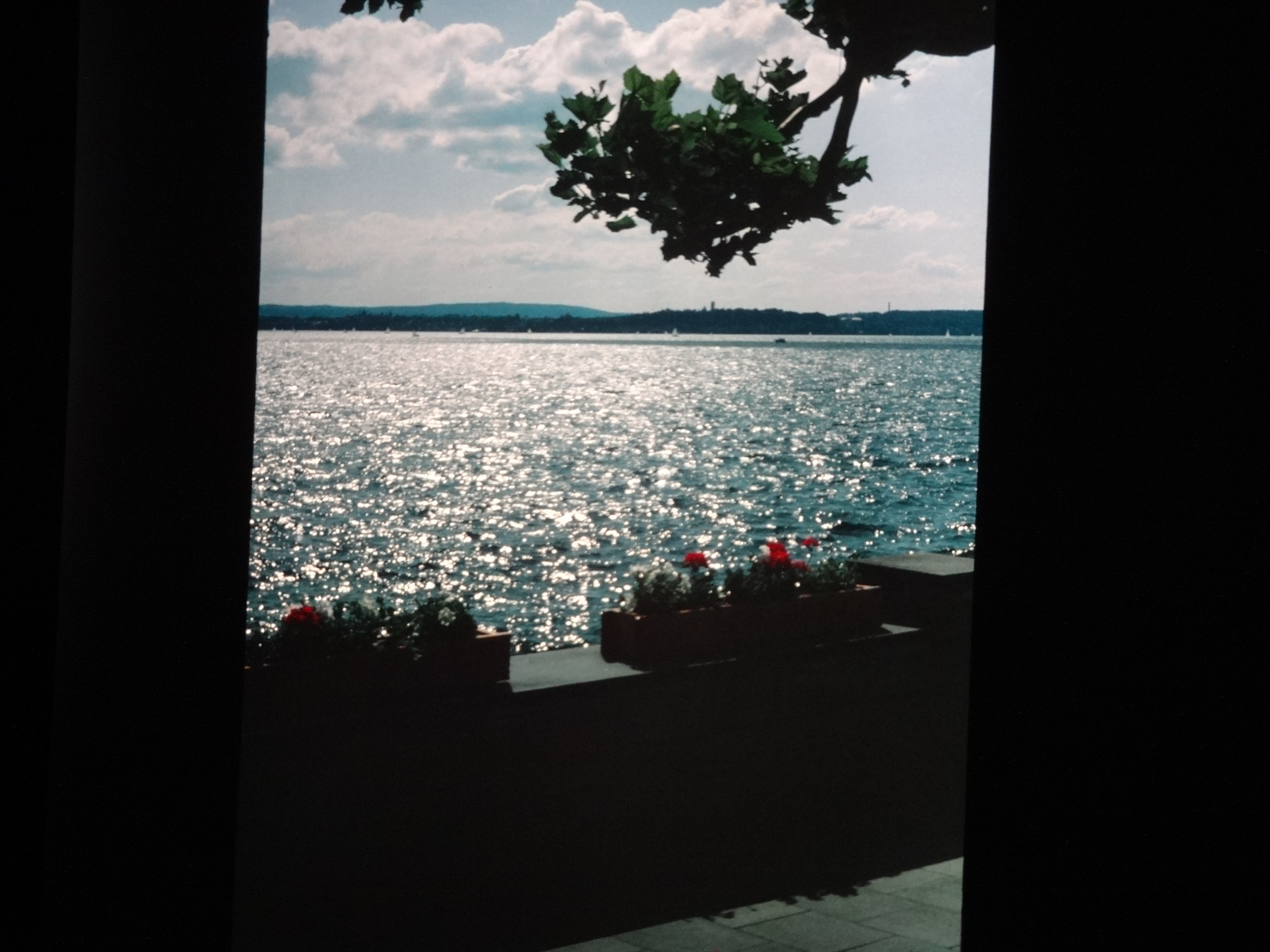 1993_bodensee120___von_Ordner___1993_pellworm_bodens_tina