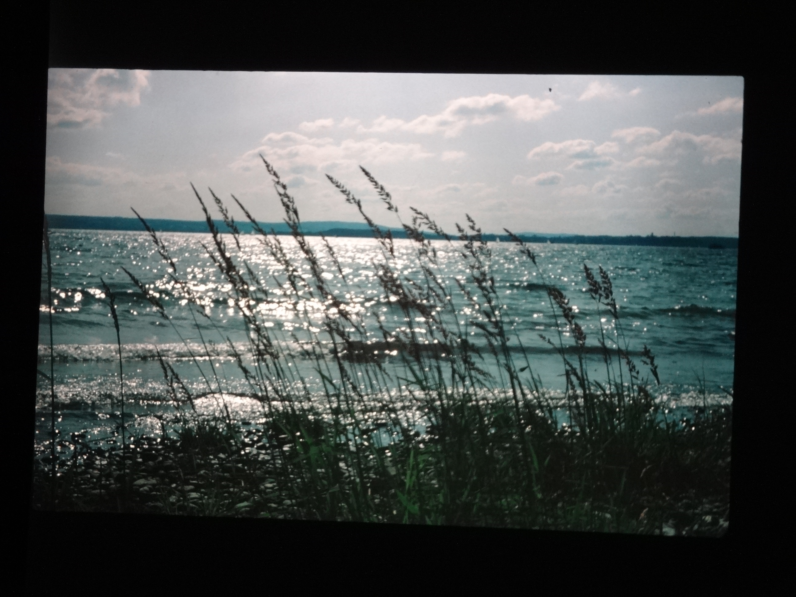 1993_bodensee130___von_Ordner___1993_pellworm_bodens_tina