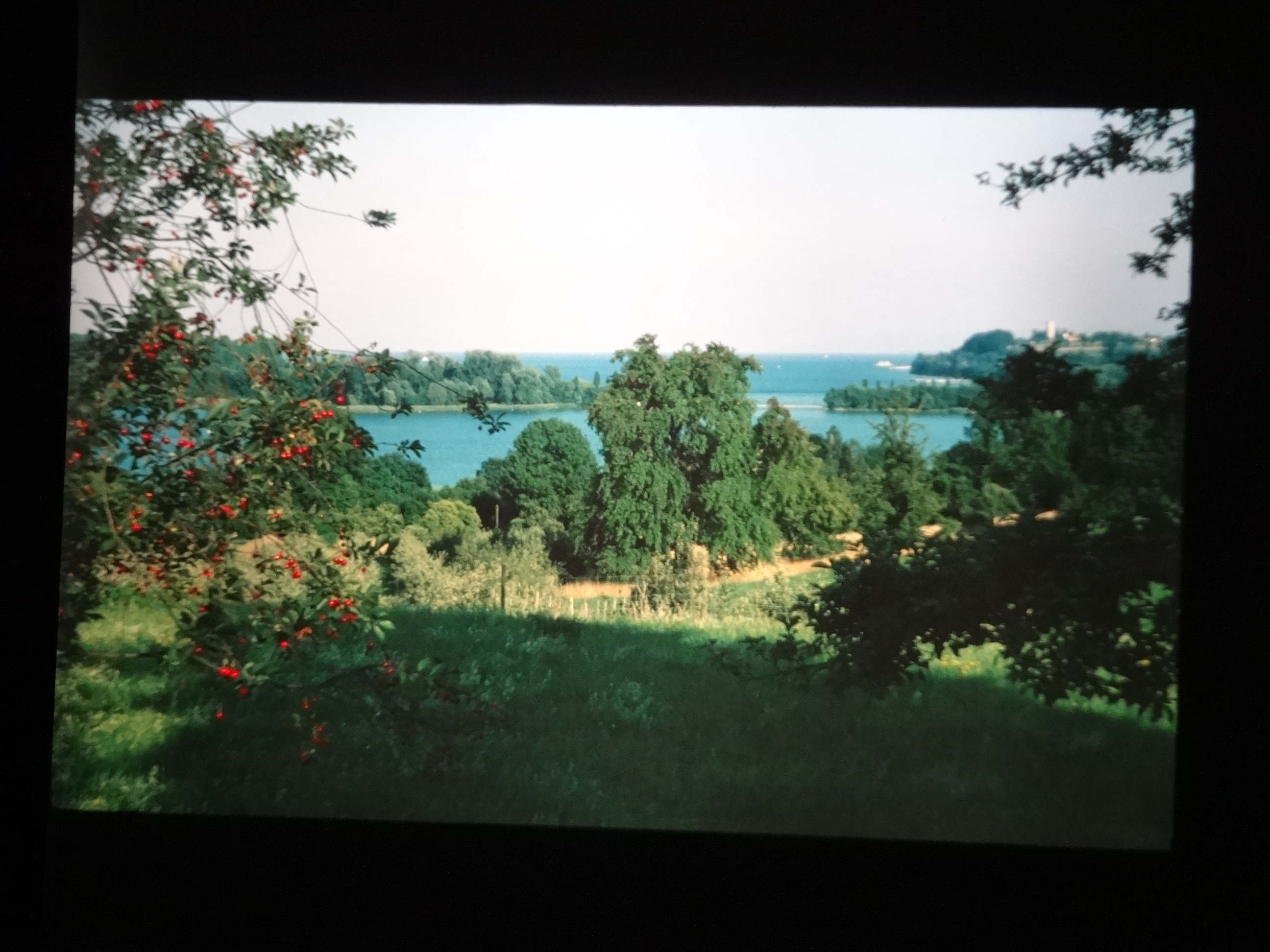 1993_bodensee140___von_Ordner___1993_pellworm_bodens_tina