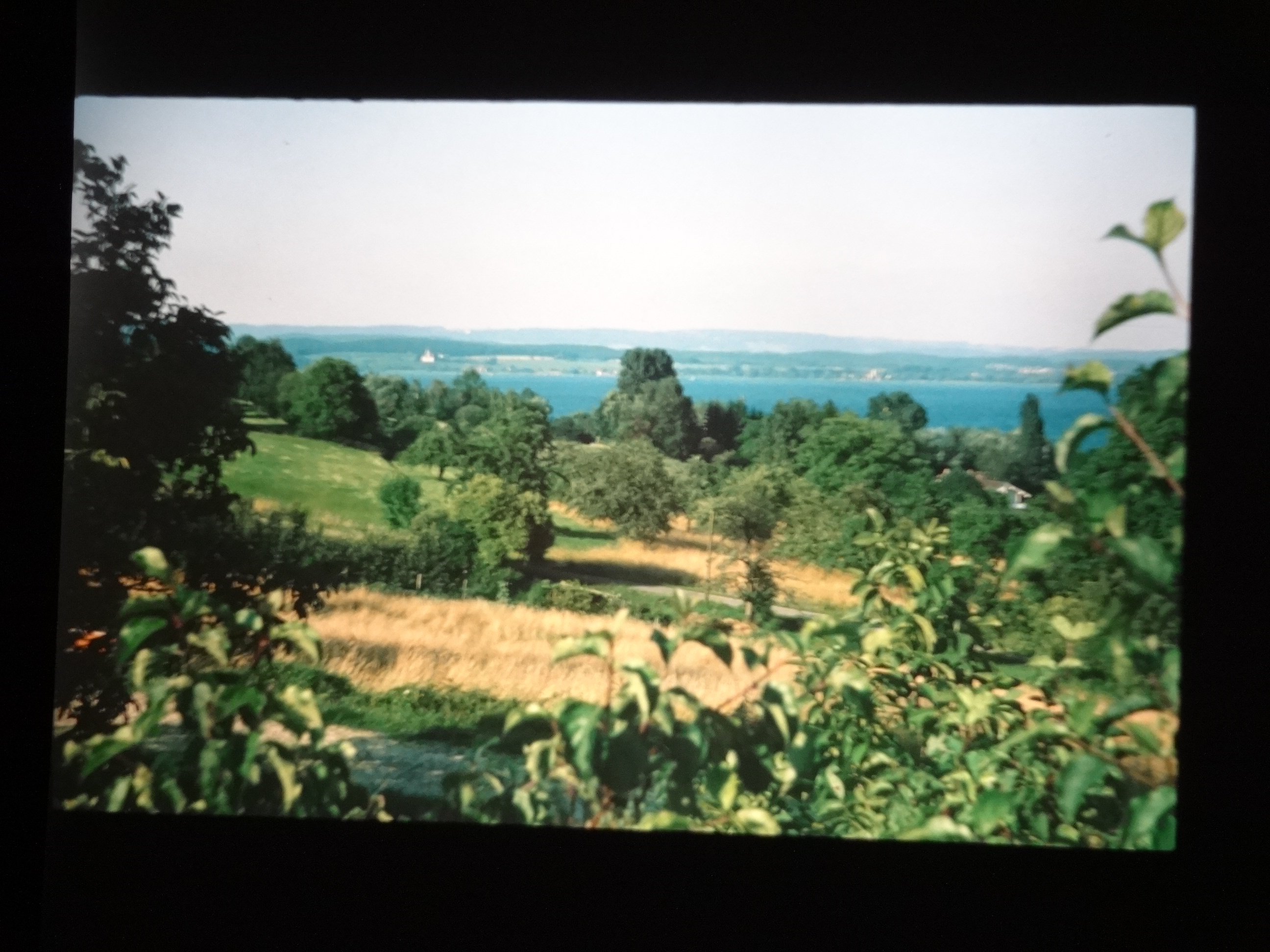 1993_bodensee160___von_Ordner___1993_pellworm_bodens_tina