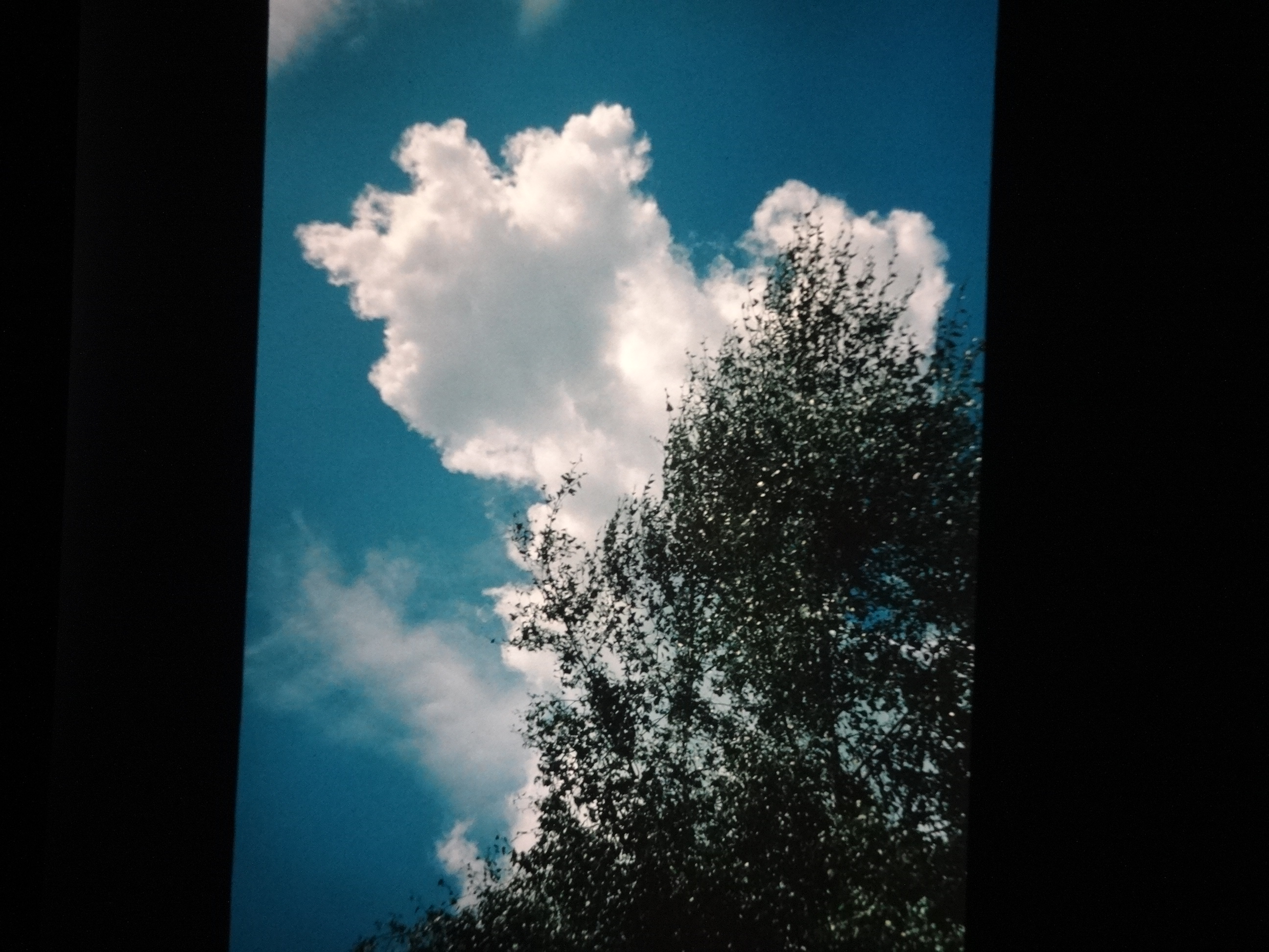 1993_bodensee180___von_Ordner___1993_pellworm_bodens_tina