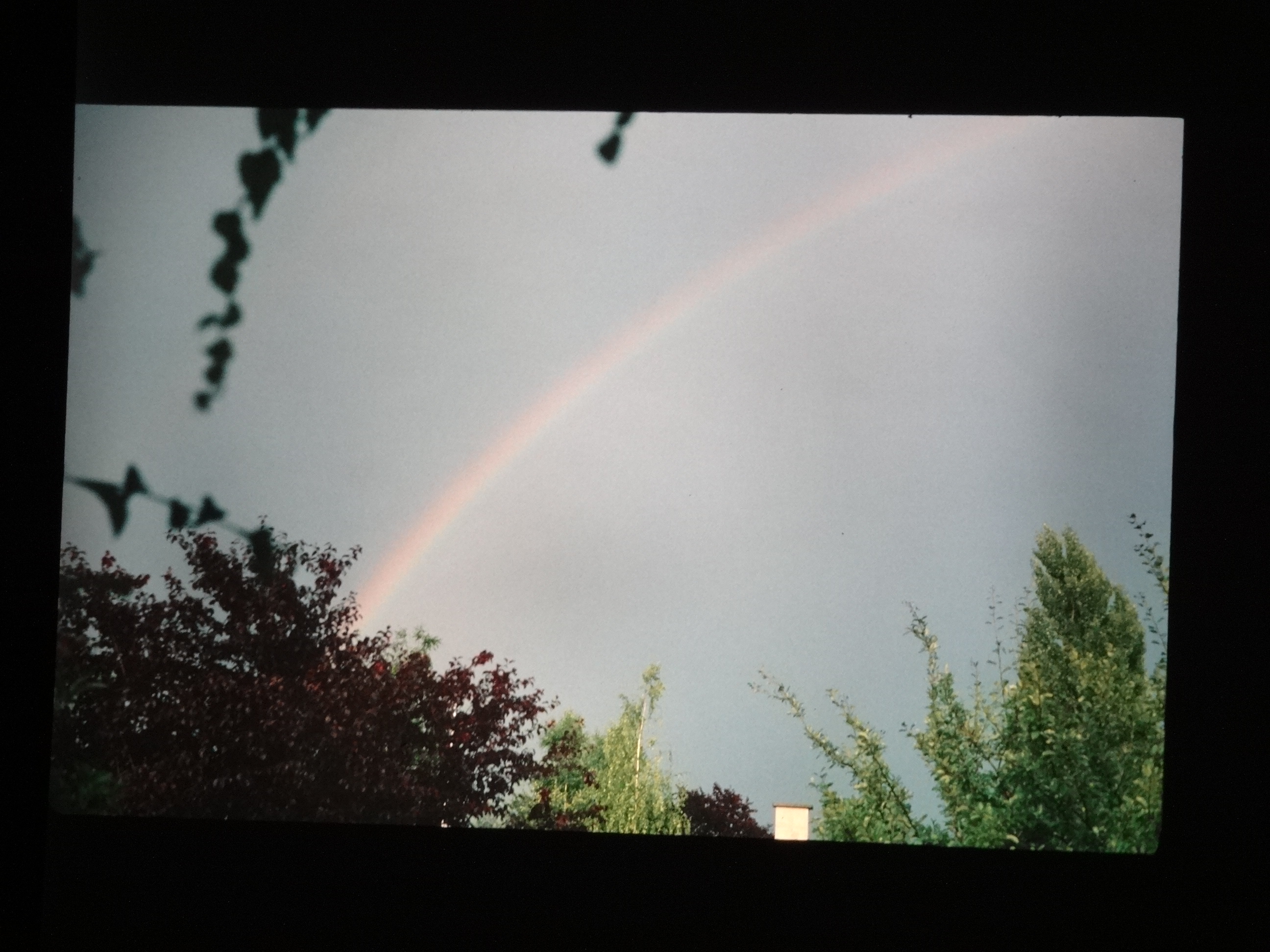 1993_bodensee200___von_Ordner___1993_pellworm_bodens_tina