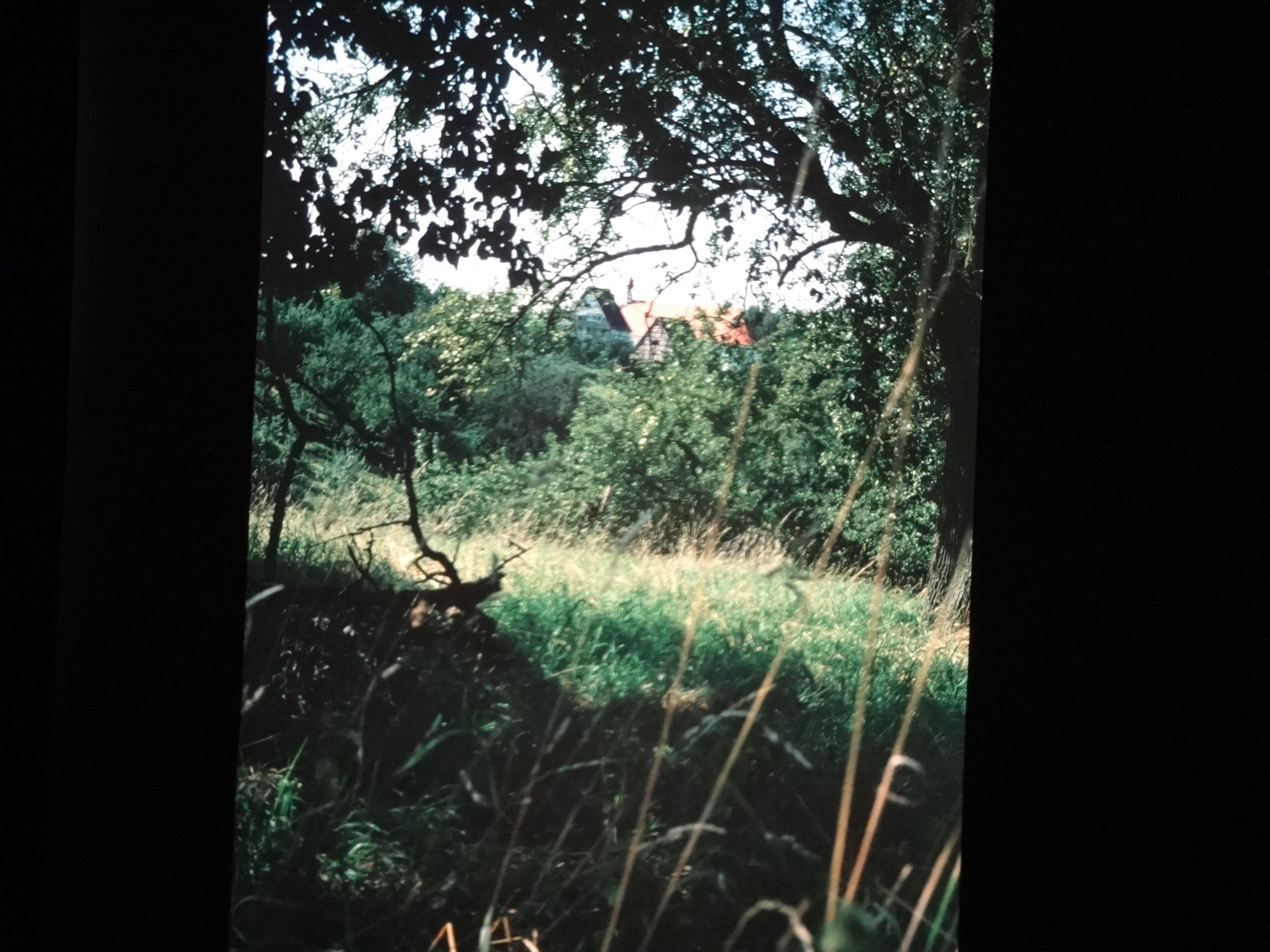 1993_bodensee210___von_Ordner___1993_pellworm_bodens_tina