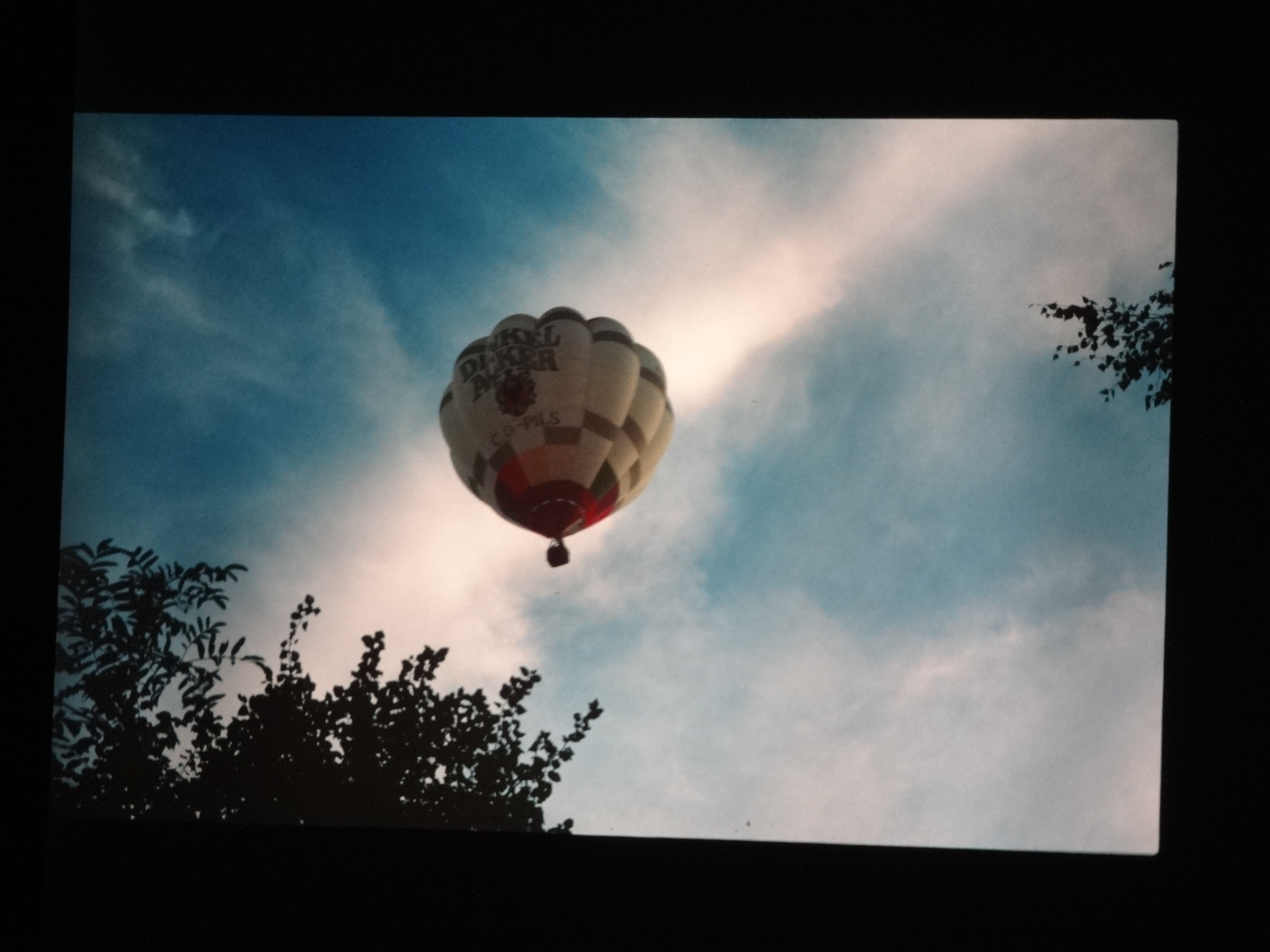 1993_bodensee230___von_Ordner___1993_pellworm_bodens_tina