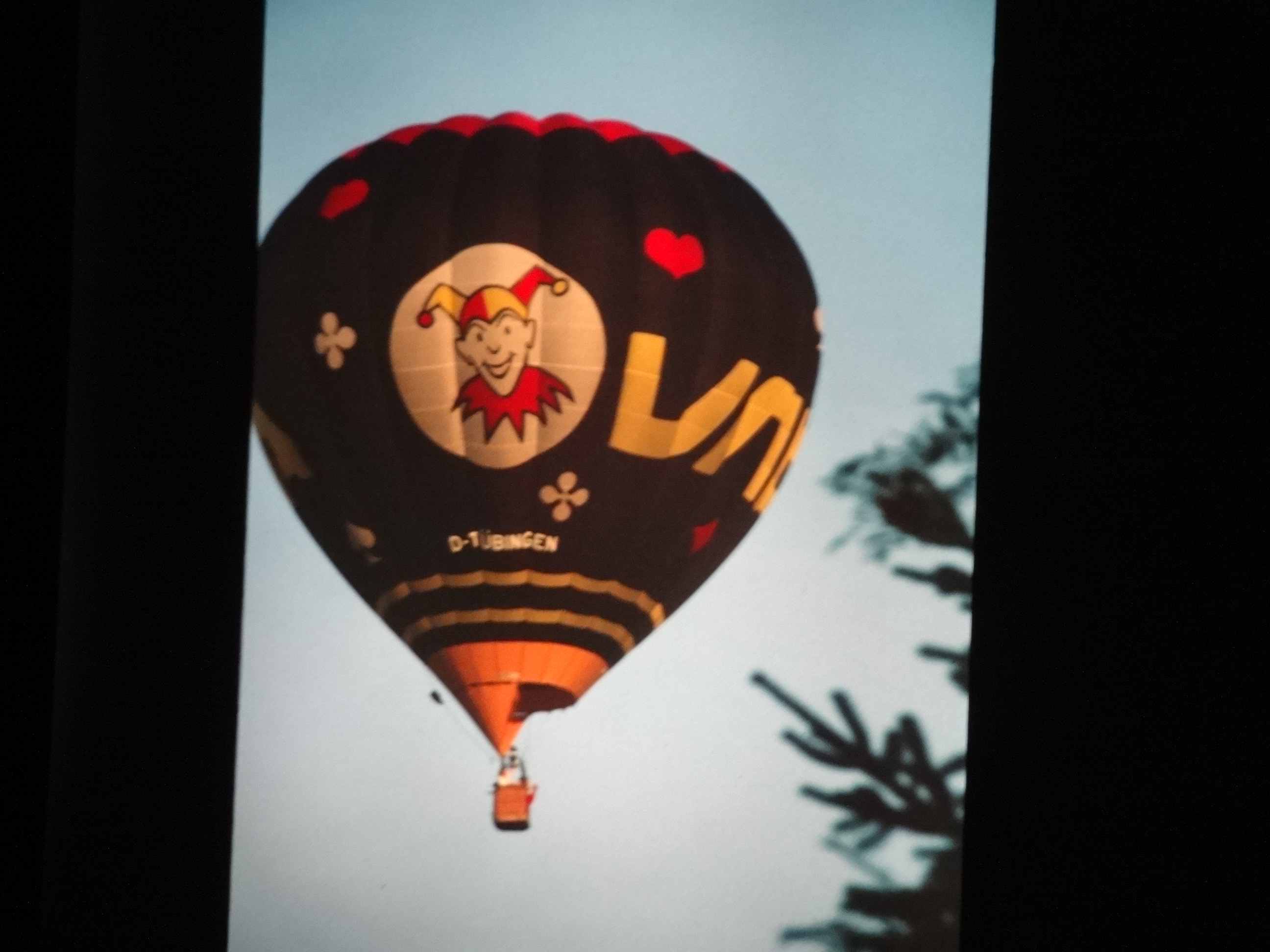 1993_bodensee240___von_Ordner___1993_pellworm_bodens_tina