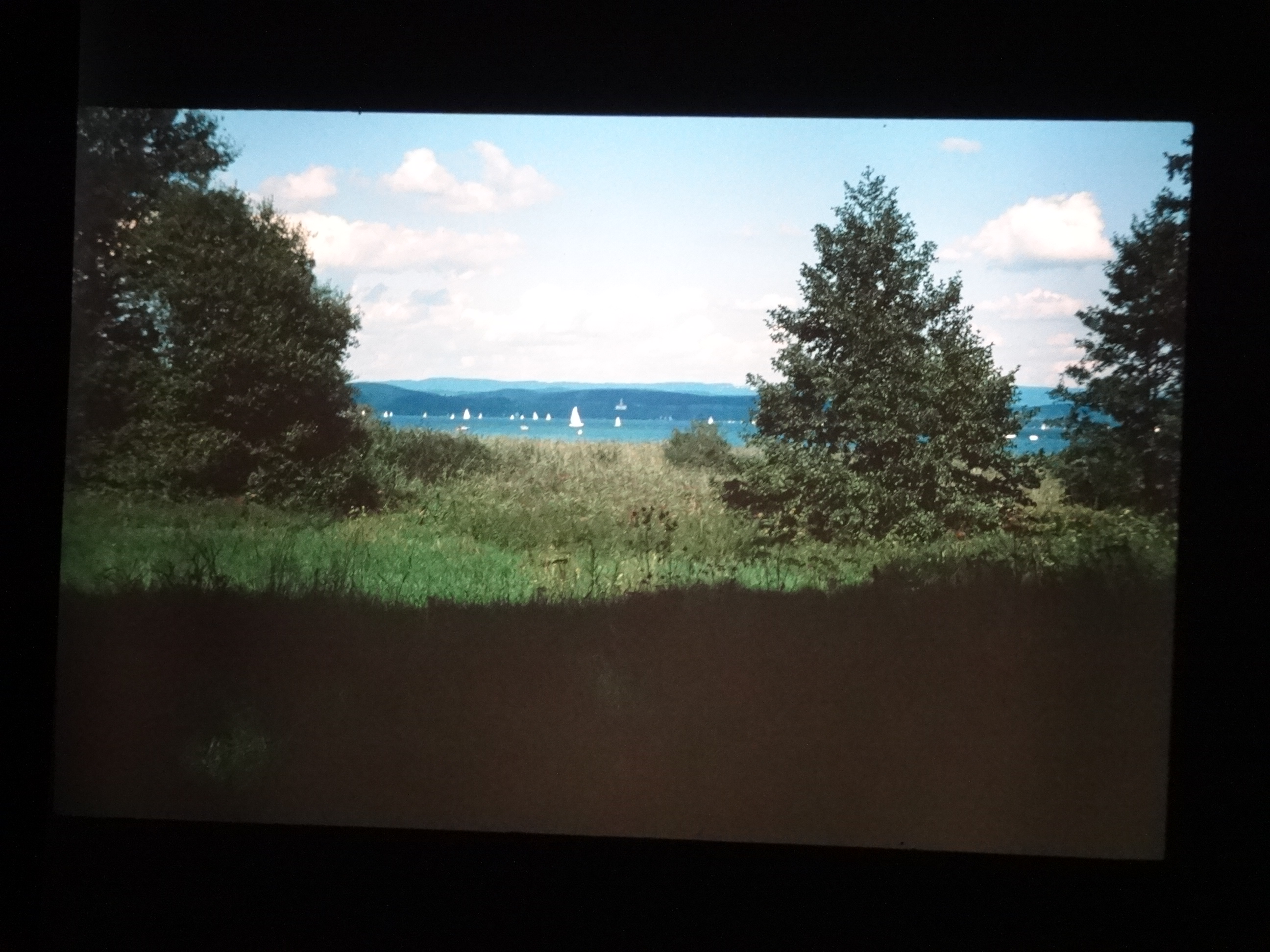 1993_bodensee280___von_Ordner___1993_pellworm_bodens_tina