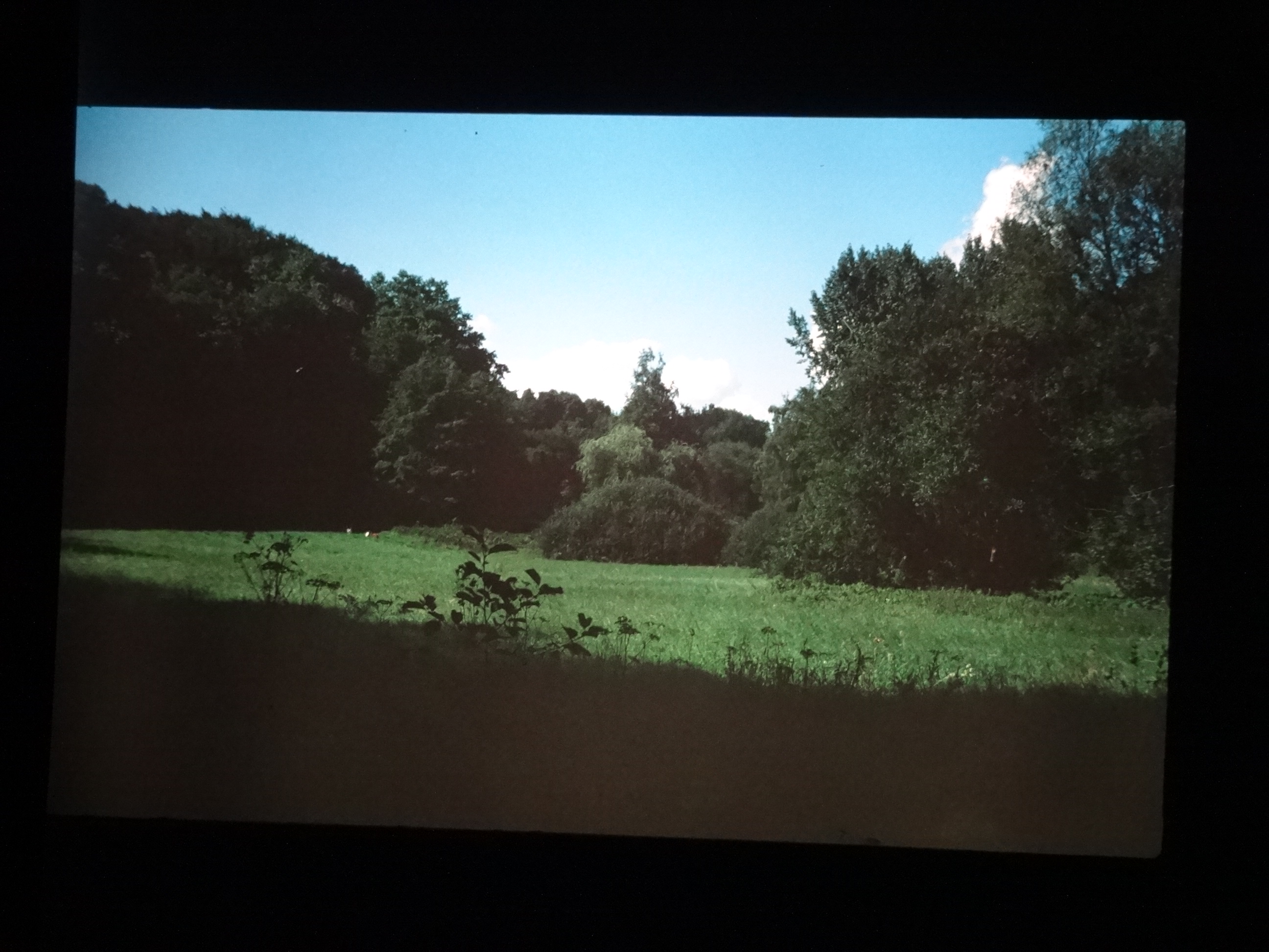 1993_bodensee290___von_Ordner___1993_pellworm_bodens_tina