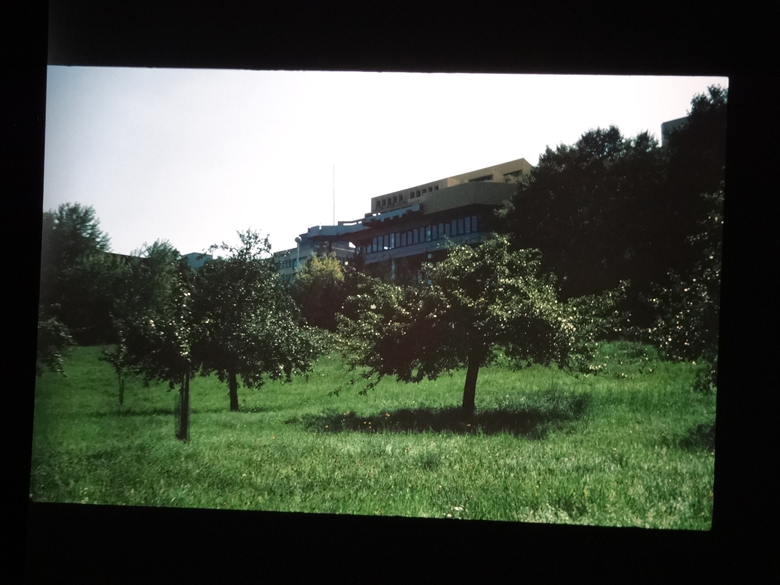 1993_bodensee310___von_Ordner___1993_pellworm_bodens_tina