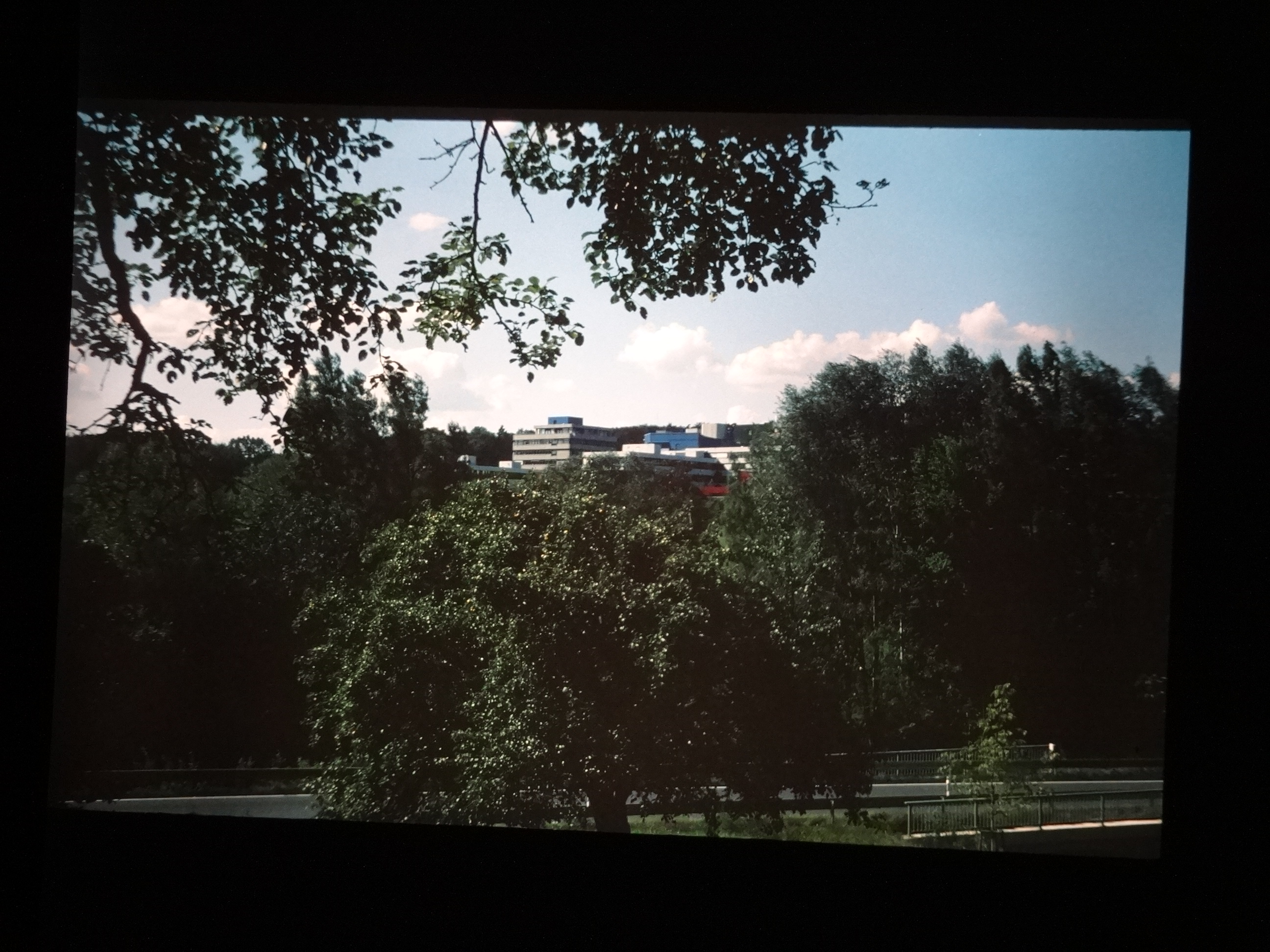 1993_bodensee320___von_Ordner___1993_pellworm_bodens_tina