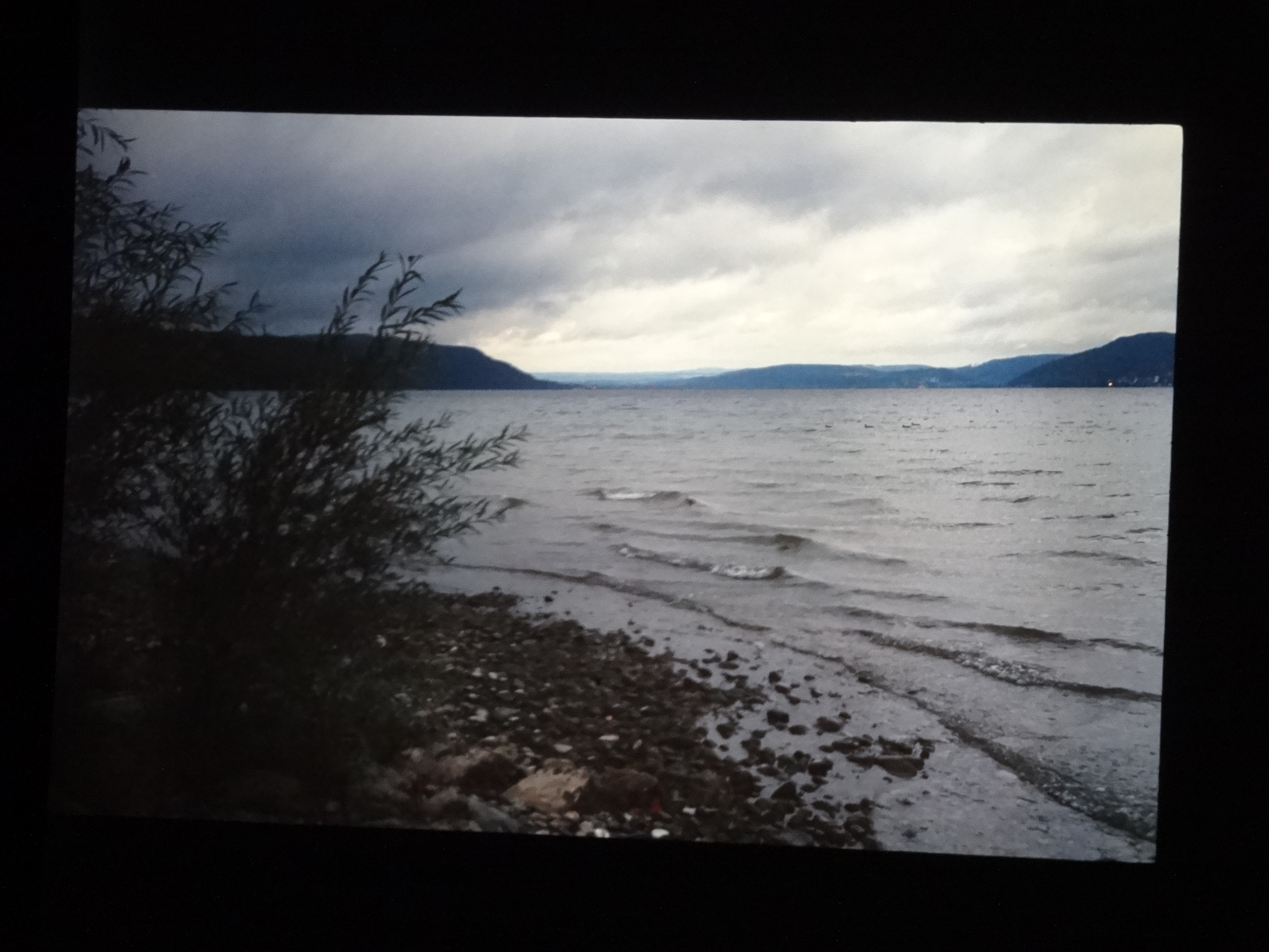 1993_bodensee360___von_Ordner___1993_pellworm_bodens_tina