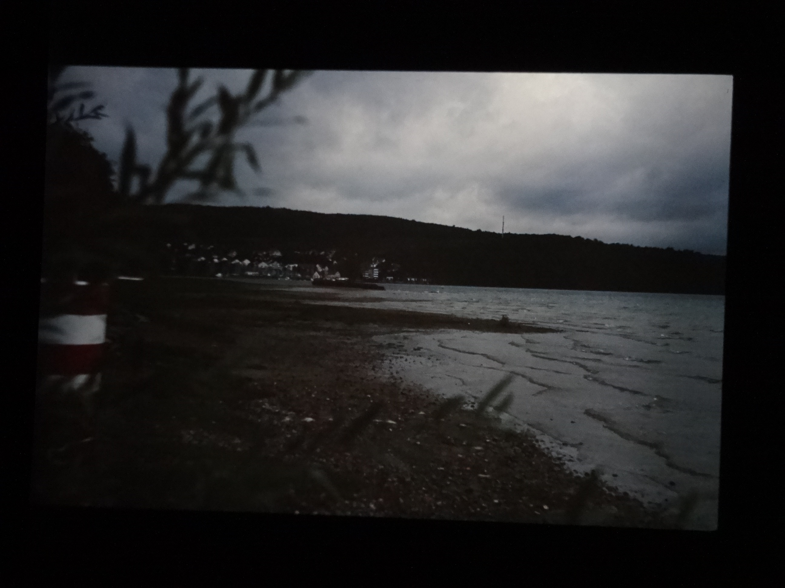 1993_bodensee370___von_Ordner___1993_pellworm_bodens_tina