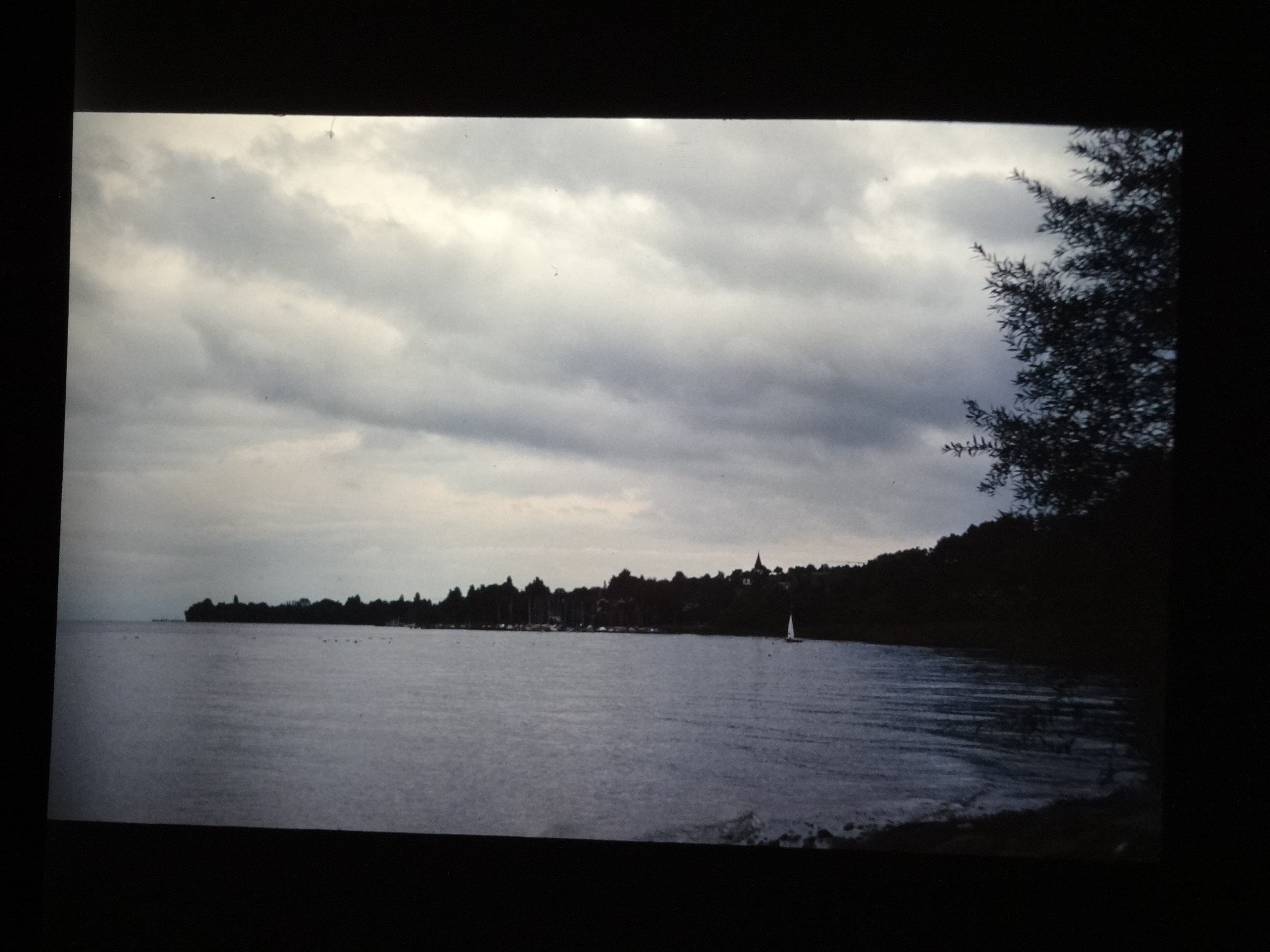 1993_bodensee390___von_Ordner___1993_pellworm_bodens_tina