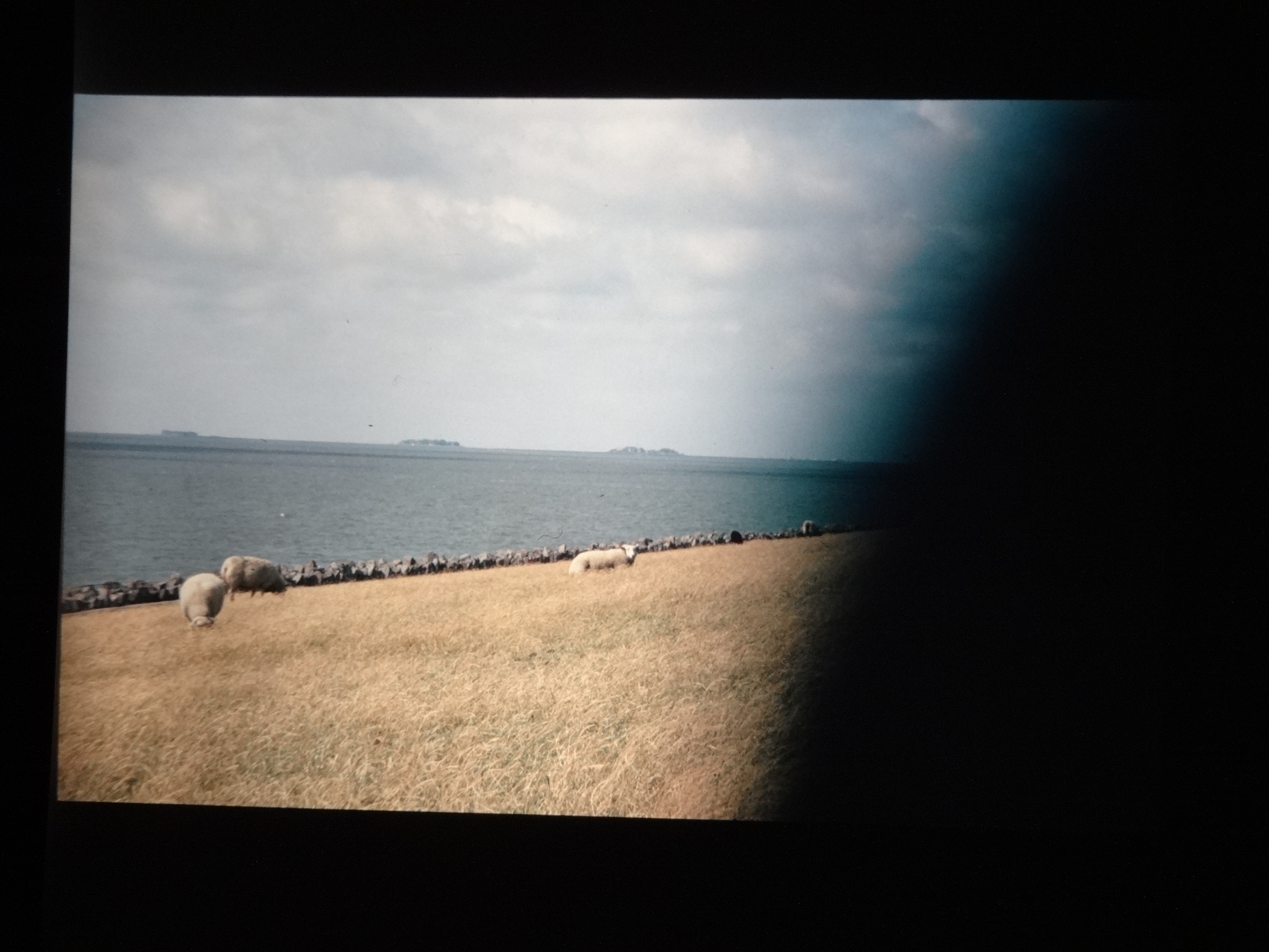 1993_pellworm010___von_Ordner___1993_pellworm_bodens_tina