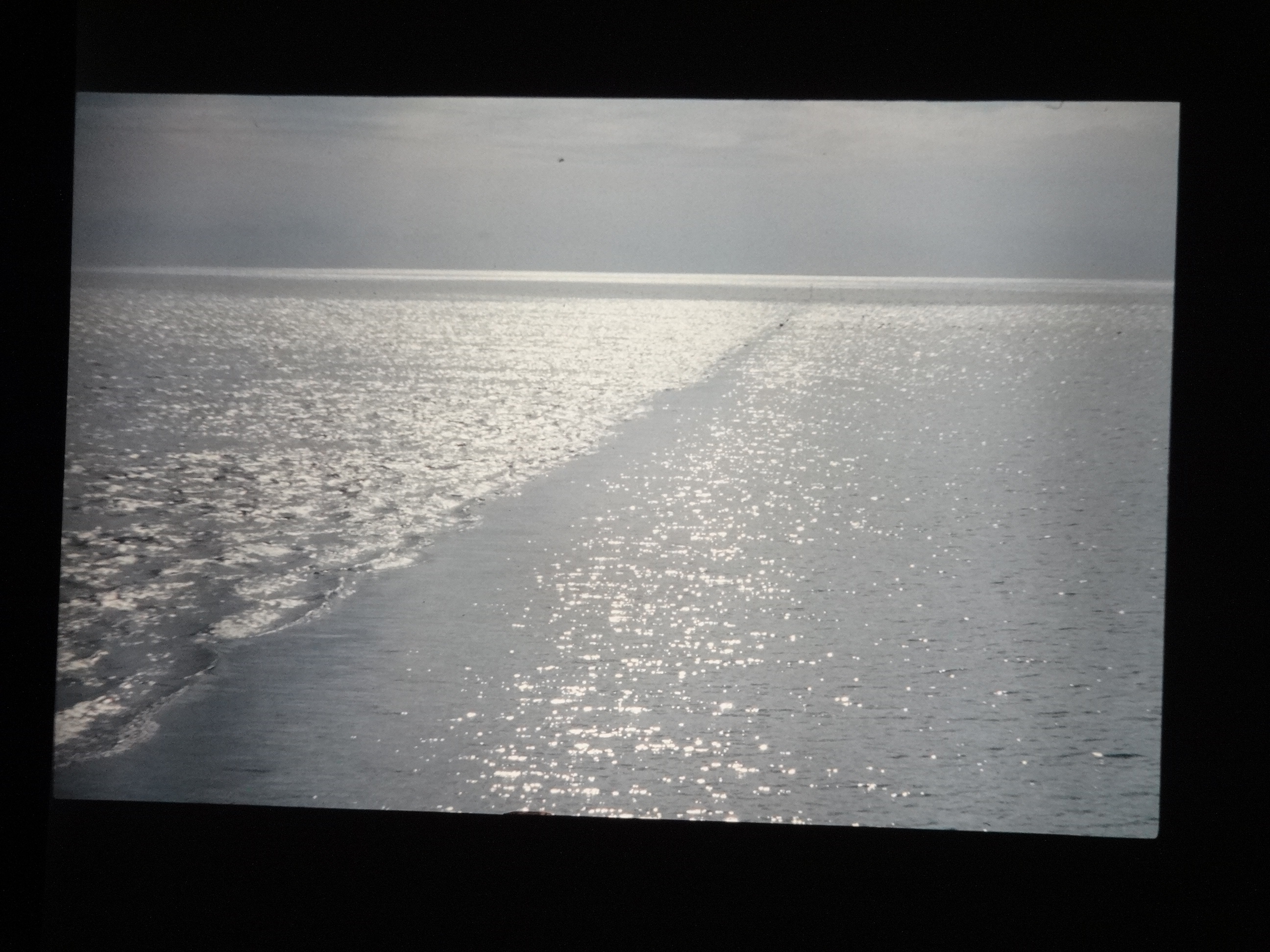 1993_pellworm100___von_Ordner___1993_pellworm_bodens_tina