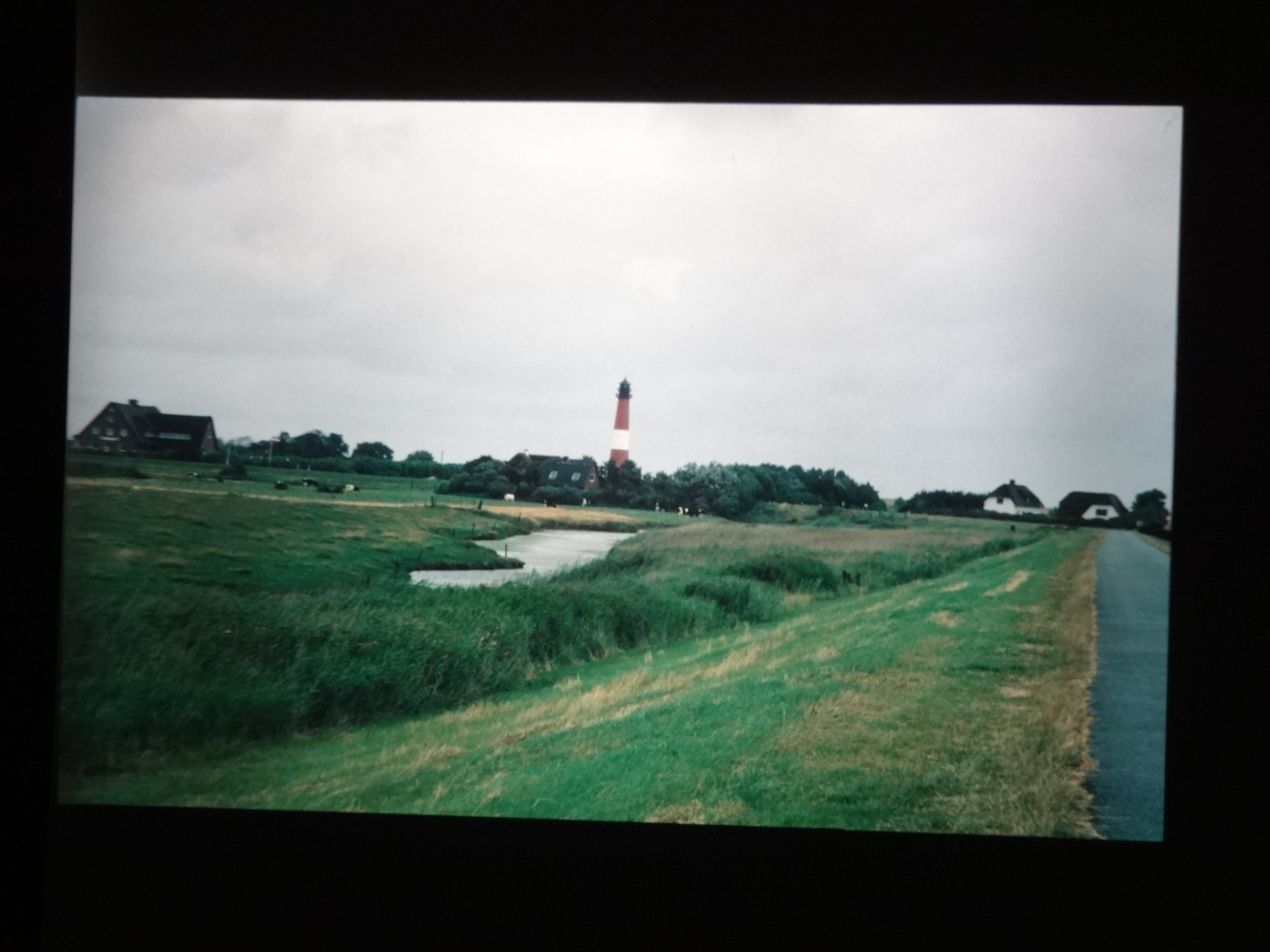 1993_pellworm130___von_Ordner___1993_pellworm_bodens_tina