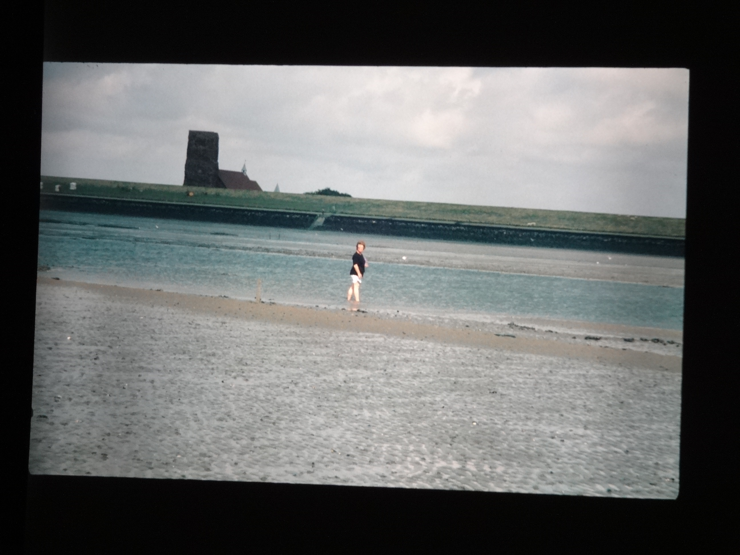 1993_pellworm140___von_Ordner___1993_pellworm_bodens_tina