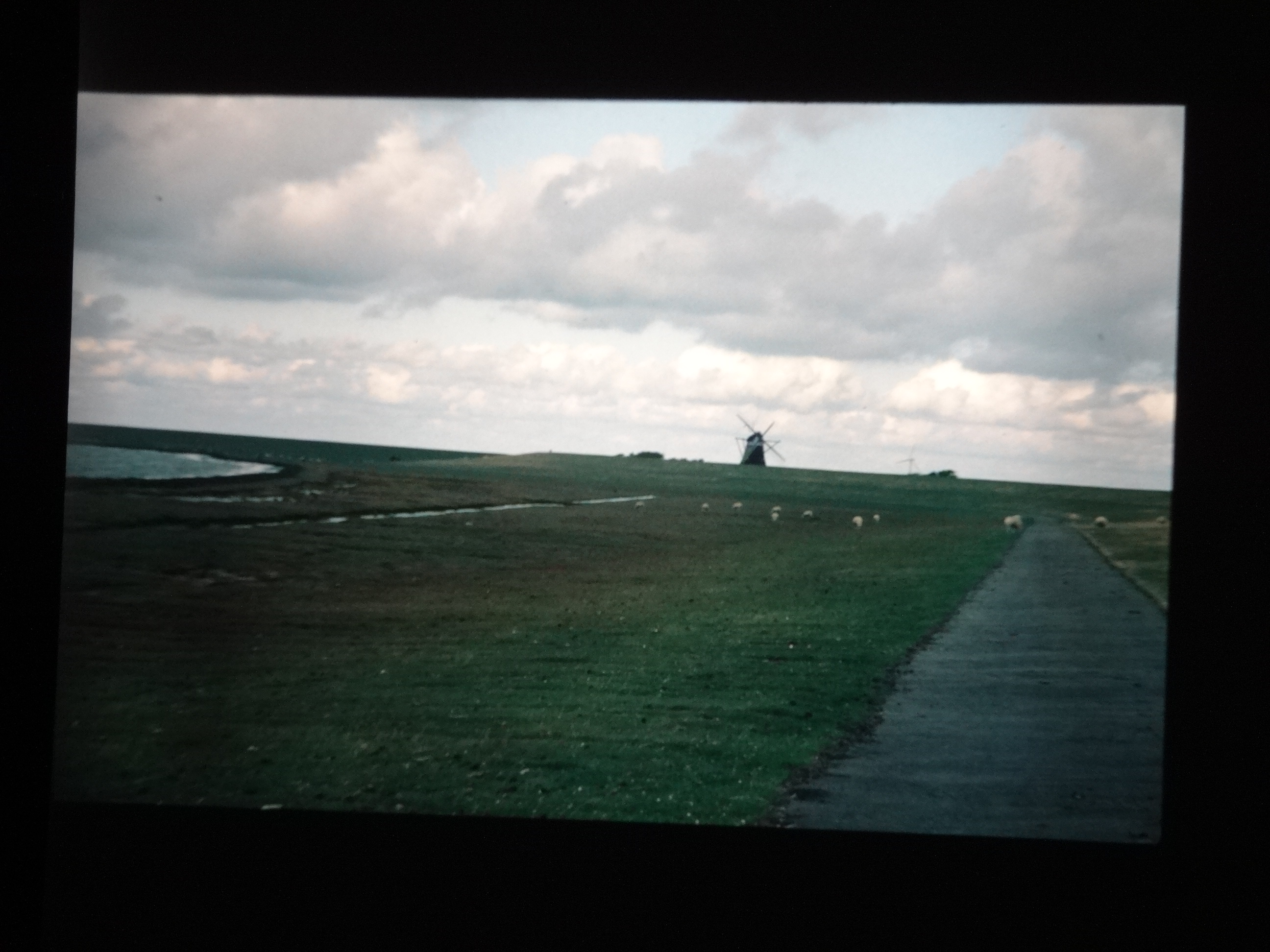 1993_pellworm160___von_Ordner___1993_pellworm_bodens_tina