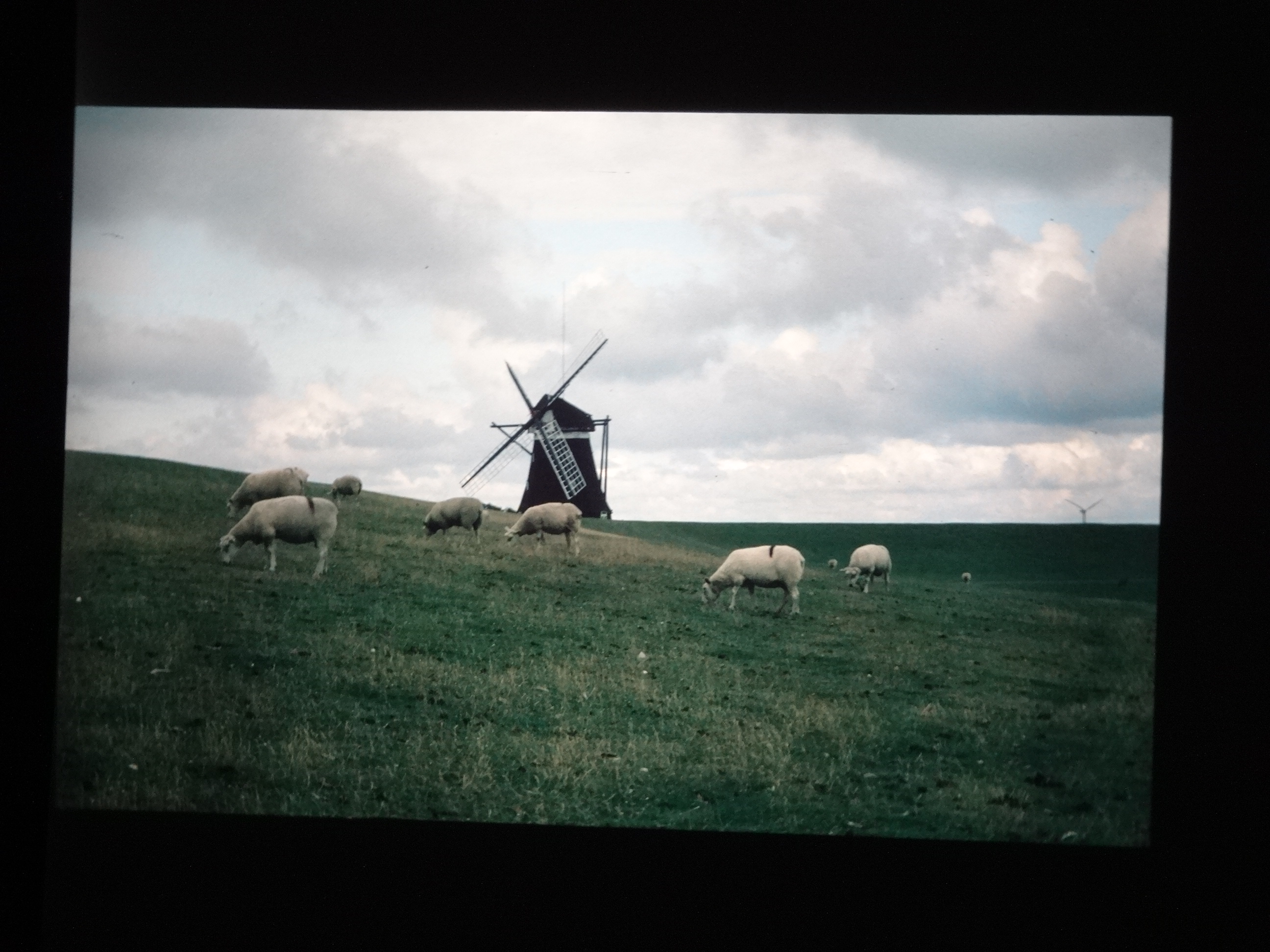 1993_pellworm170___von_Ordner___1993_pellworm_bodens_tina