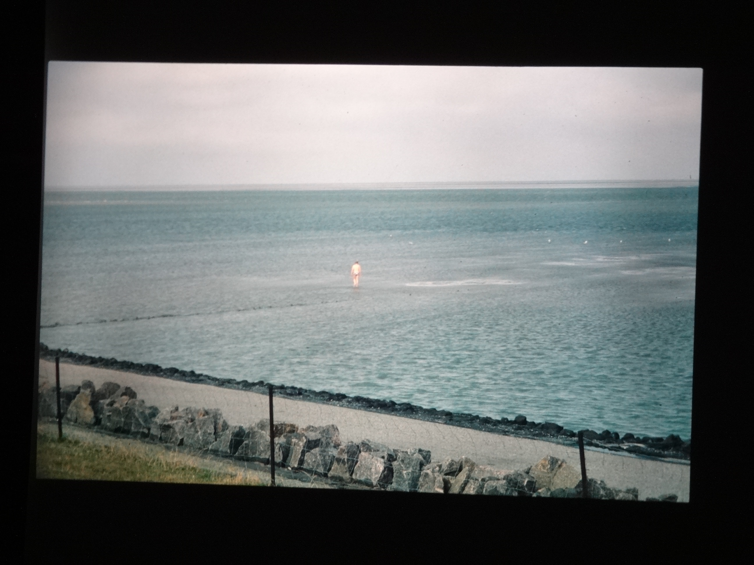 1993_pellworm180___von_Ordner___1993_pellworm_bodens_tina