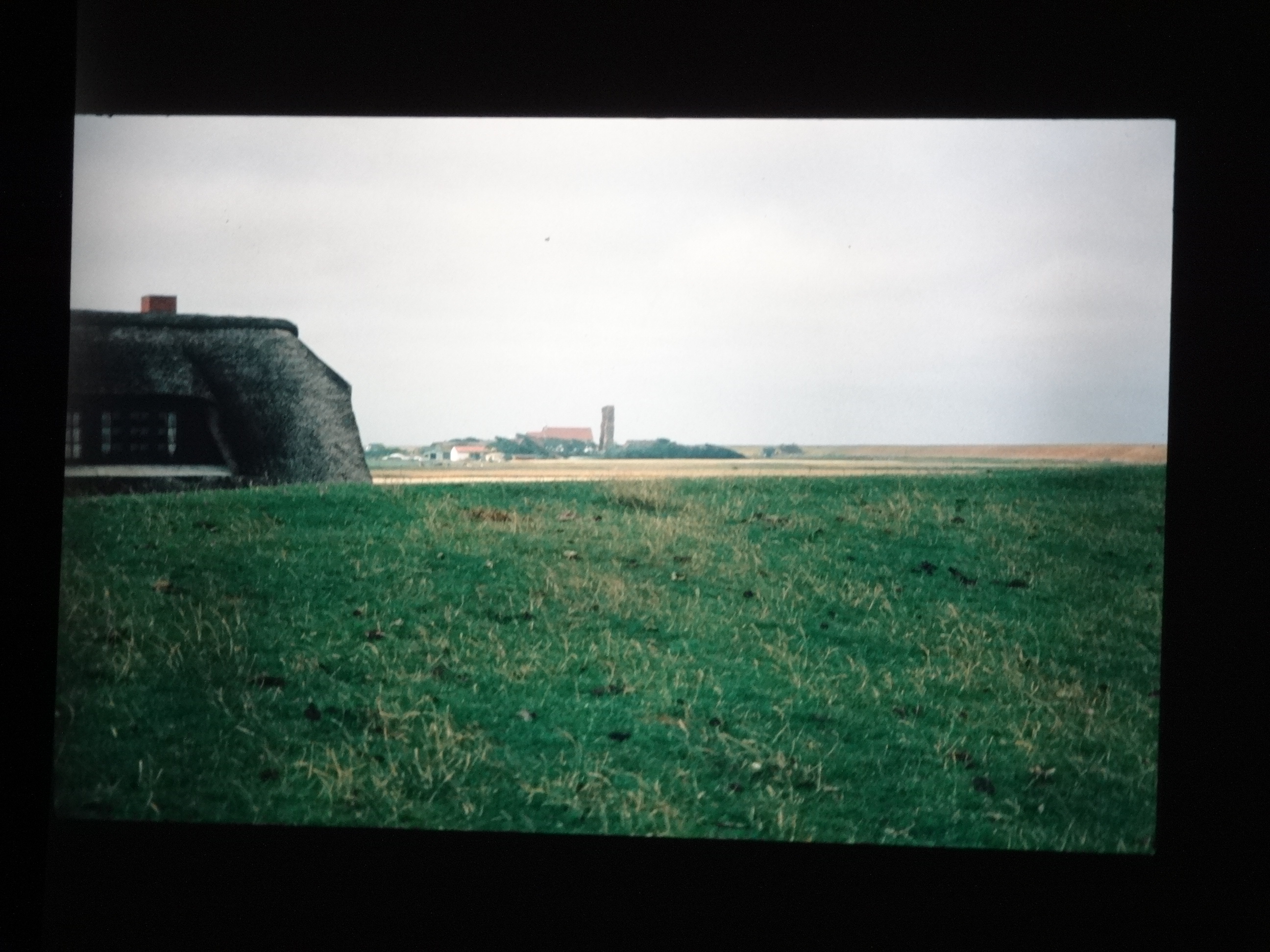 1993_pellworm190___von_Ordner___1993_pellworm_bodens_tina