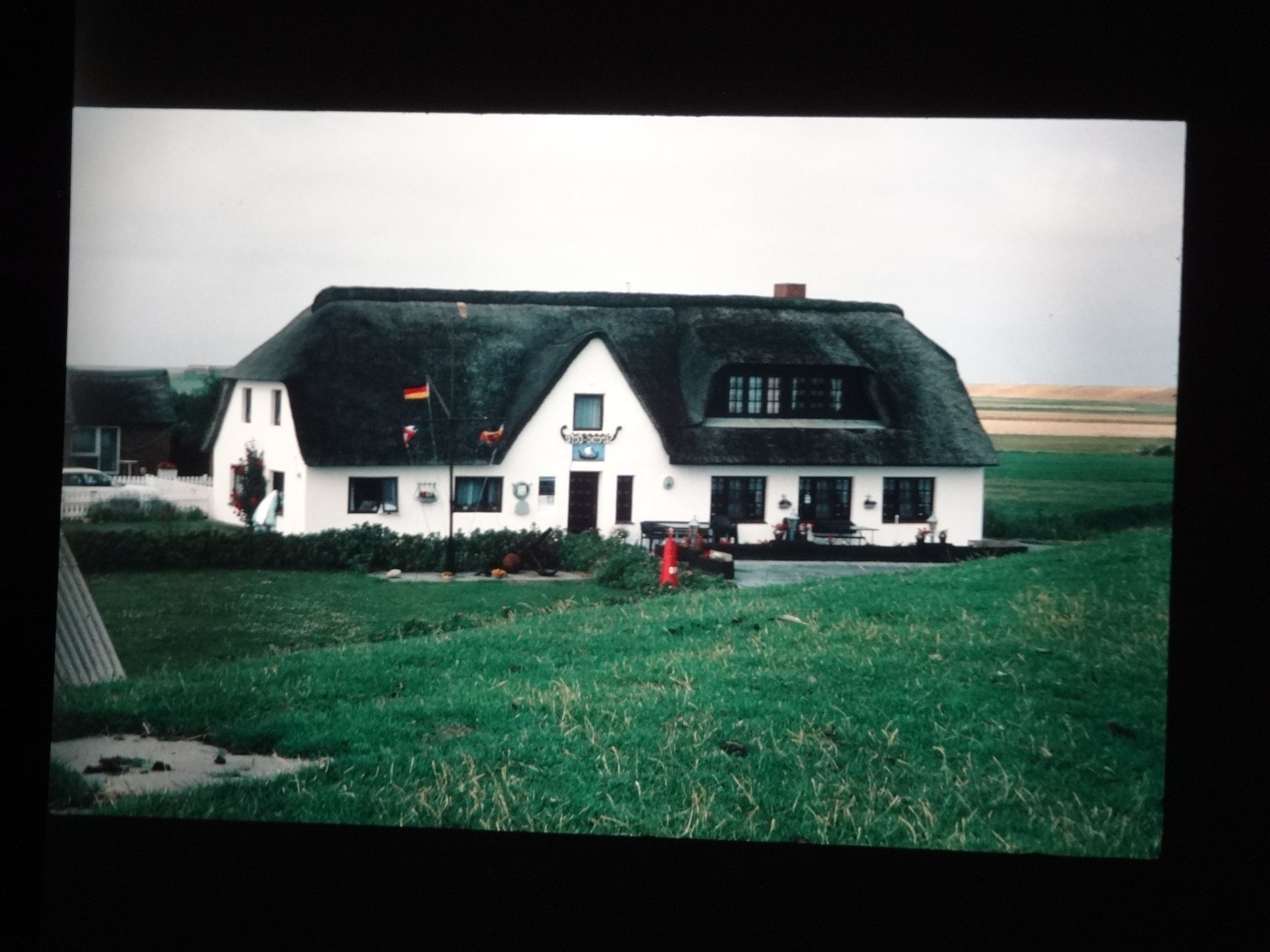 1993_pellworm200___von_Ordner___1993_pellworm_bodens_tina