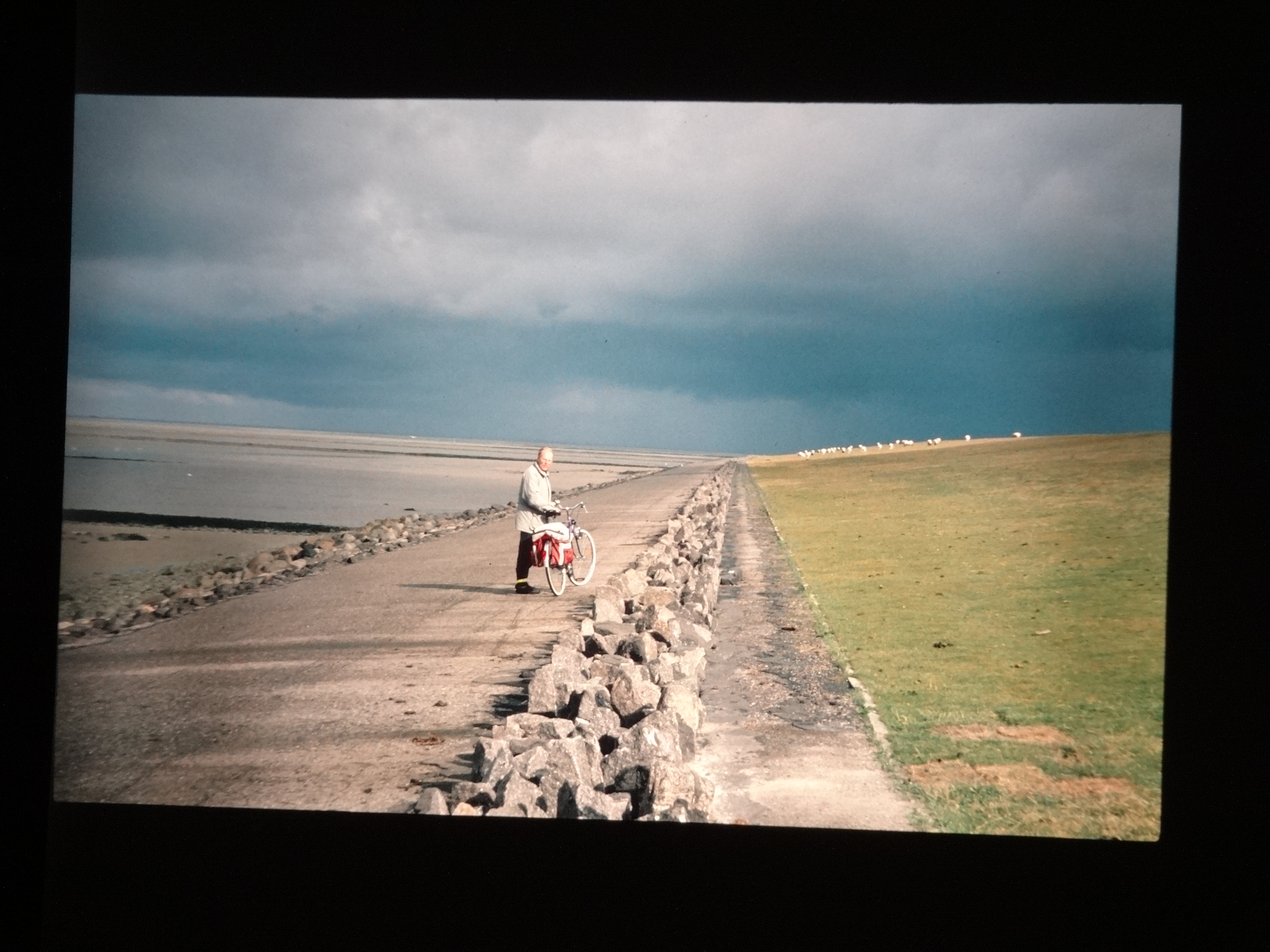 1993_pellworm260___von_Ordner___1993_pellworm_bodens_tina