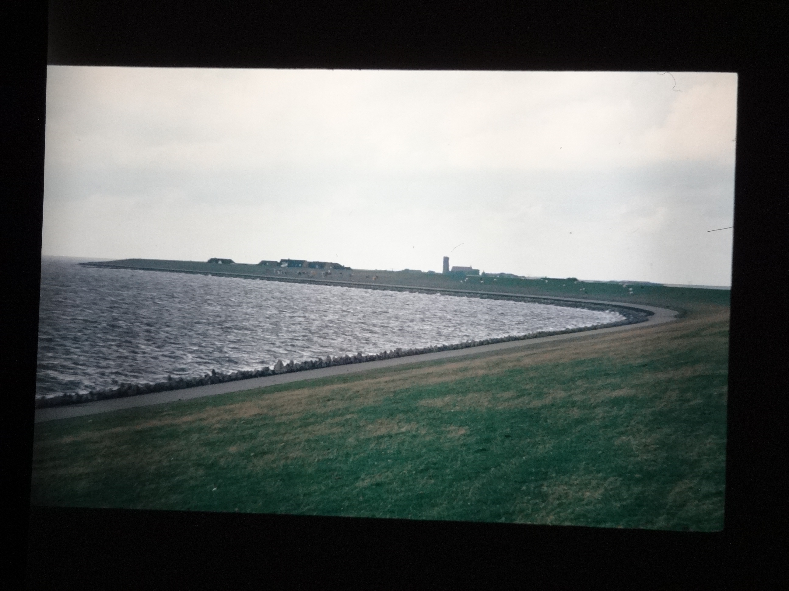 1993_pellworm270___von_Ordner___1993_pellworm_bodens_tina