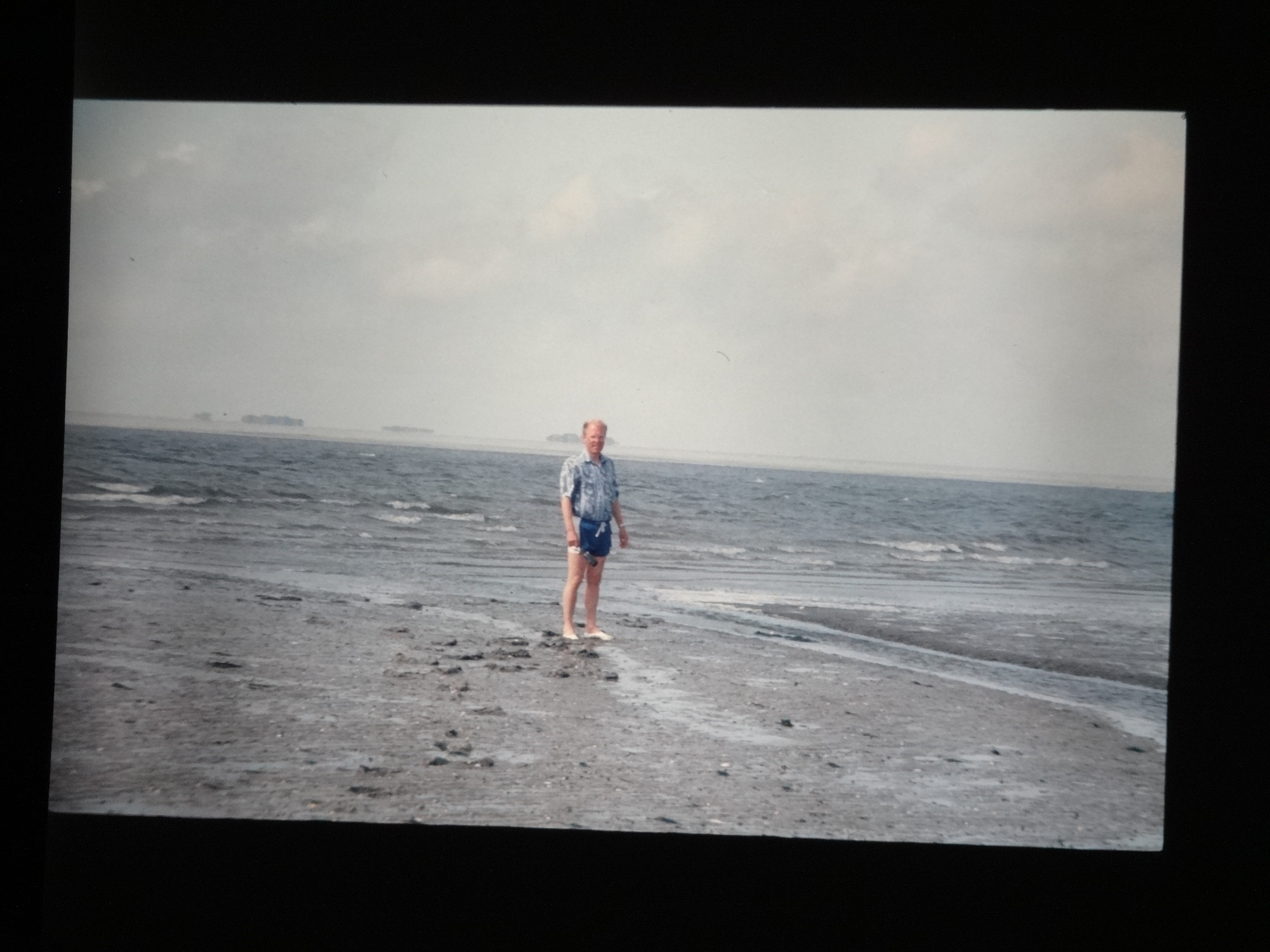 1993_pellworm280___von_Ordner___1993_pellworm_bodens_tina