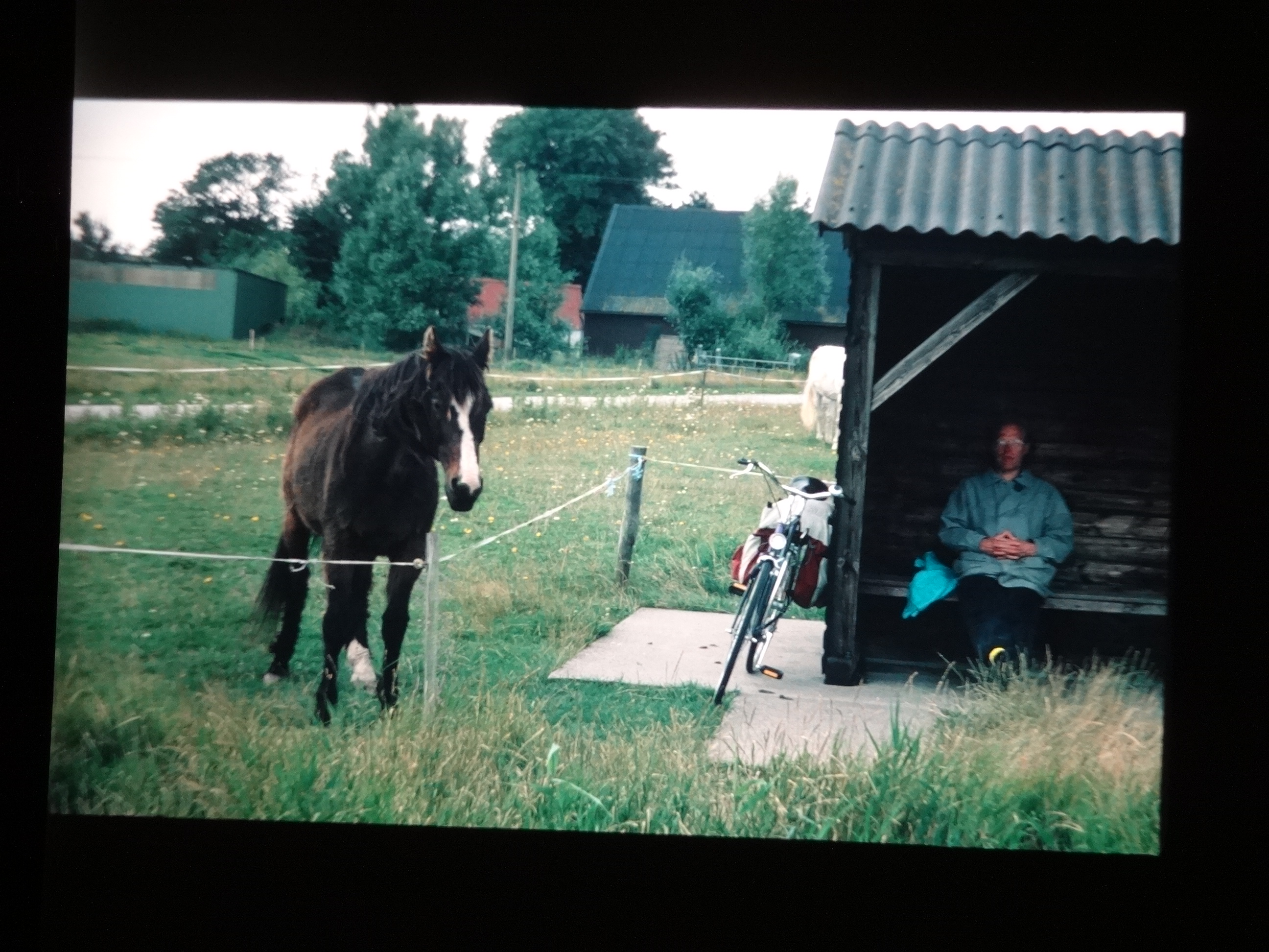 1993_pellworm310___von_Ordner___1993_pellworm_bodens_tina