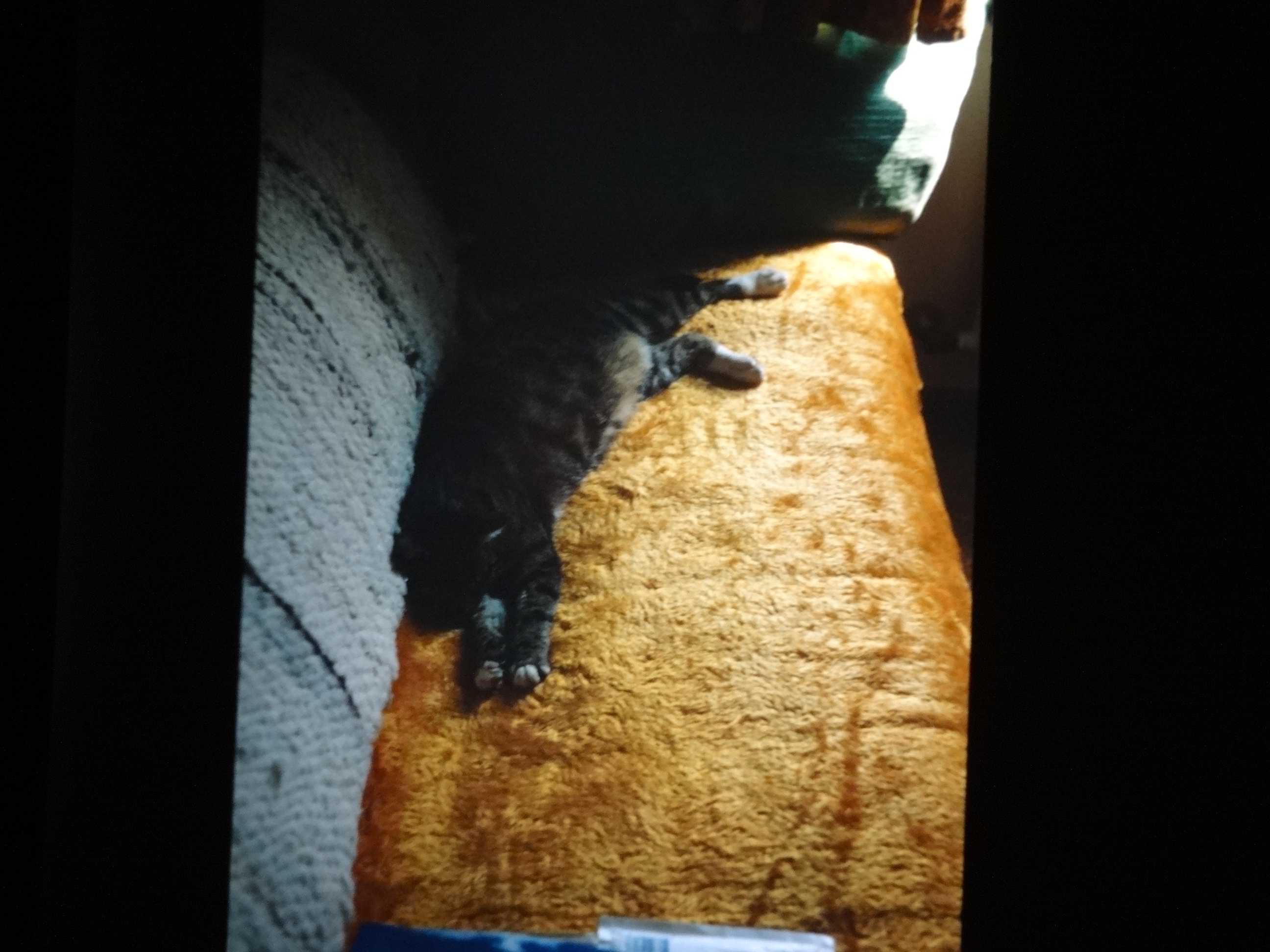 1993_tina20___von_Ordner___1993_pellworm_bodens_tina