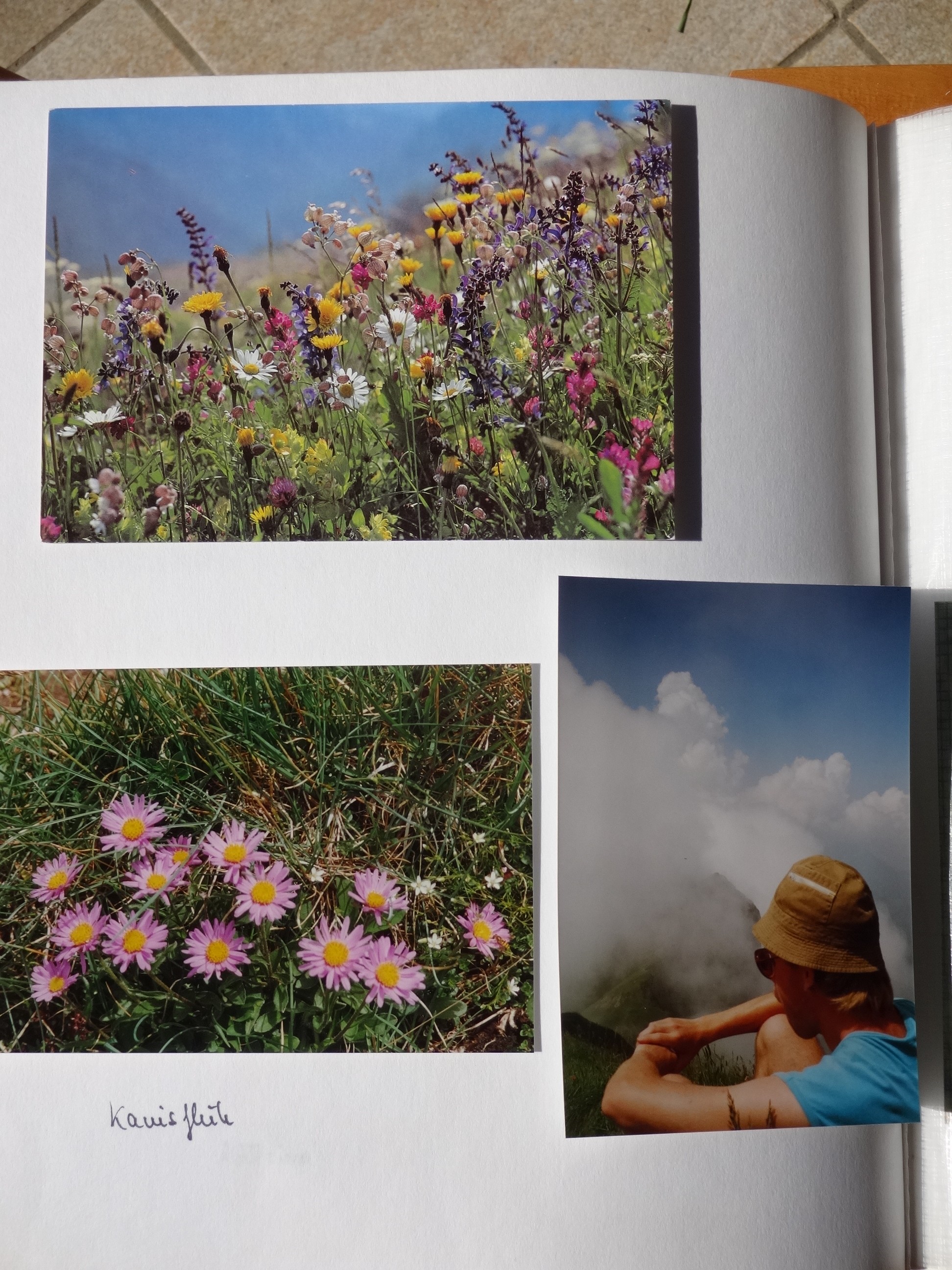 1994_170___von_Ordner___1993_1997