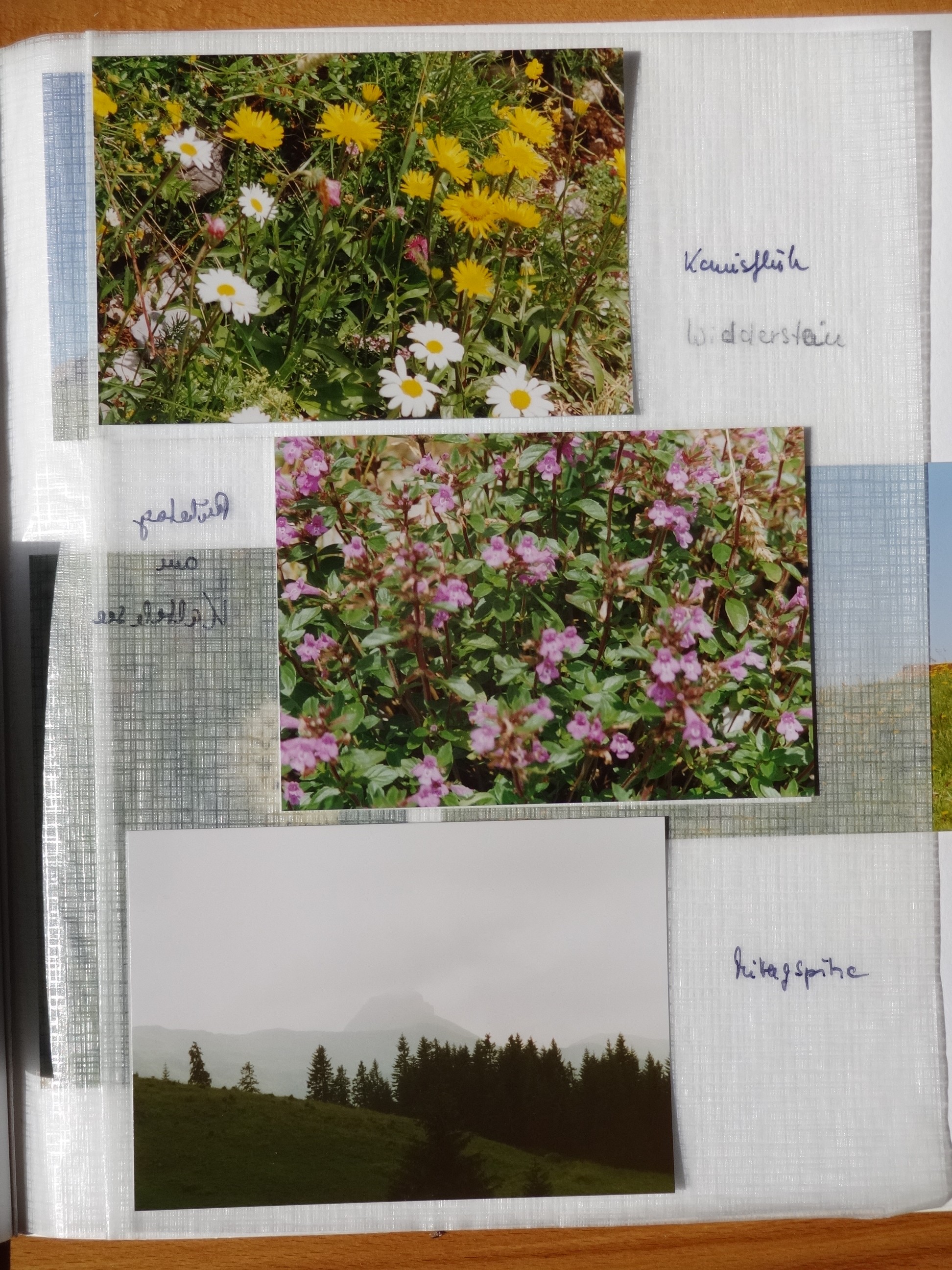 1994_180___von_Ordner___1993_1997