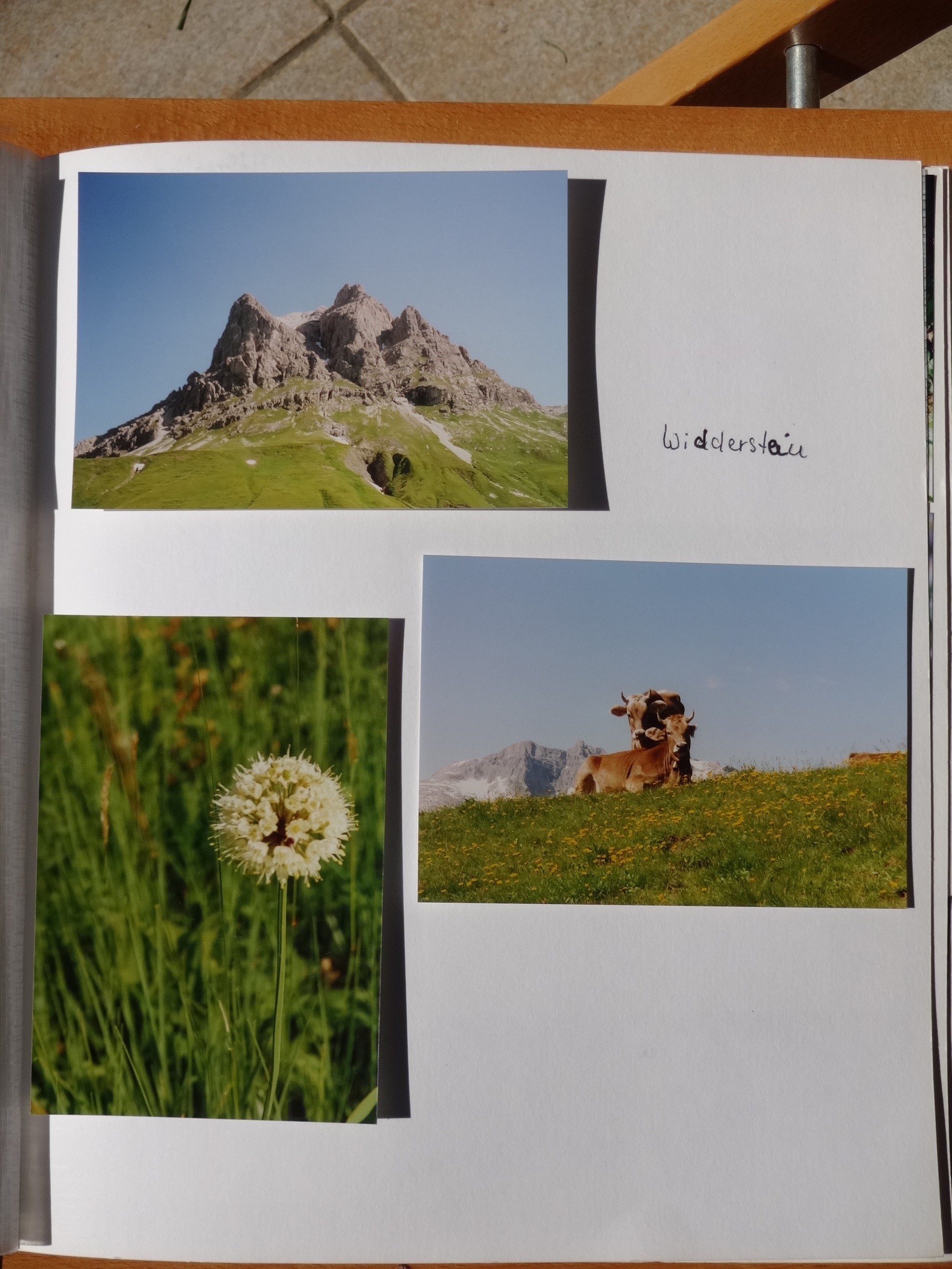 1994_200___von_Ordner___1993_1997