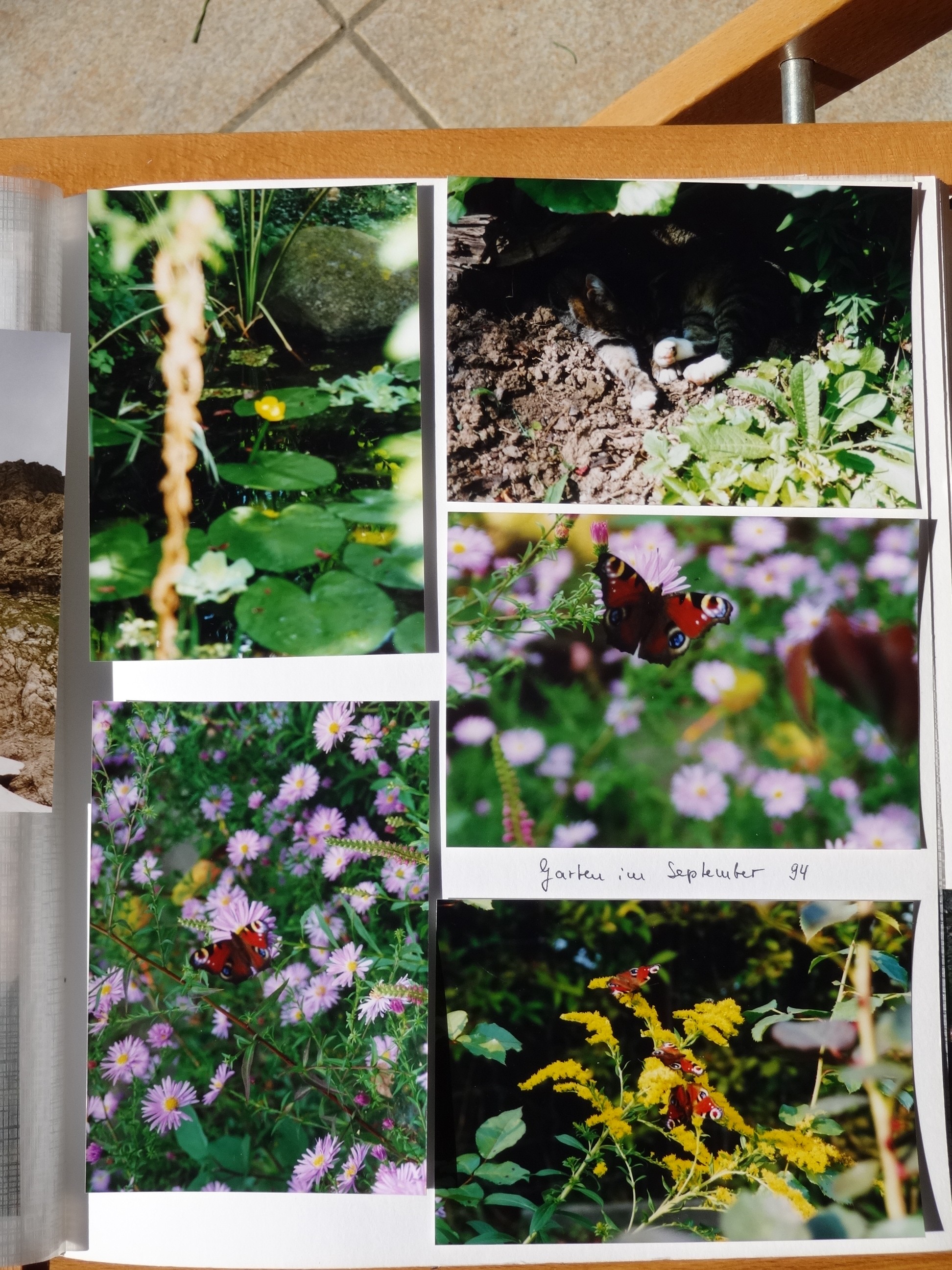 1994_240___von_Ordner___1993_1997