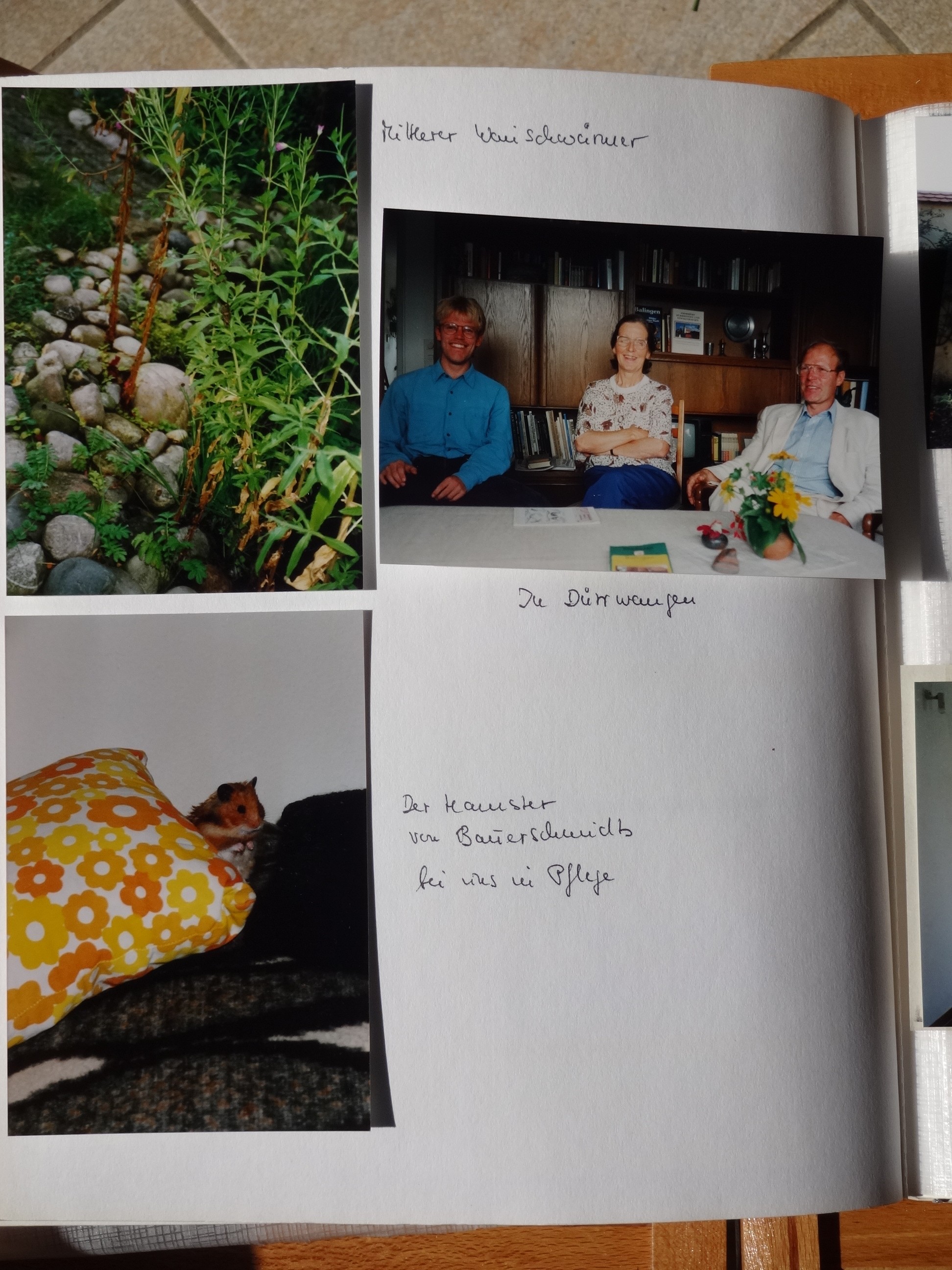 1994_370___von_Ordner___1993_1997