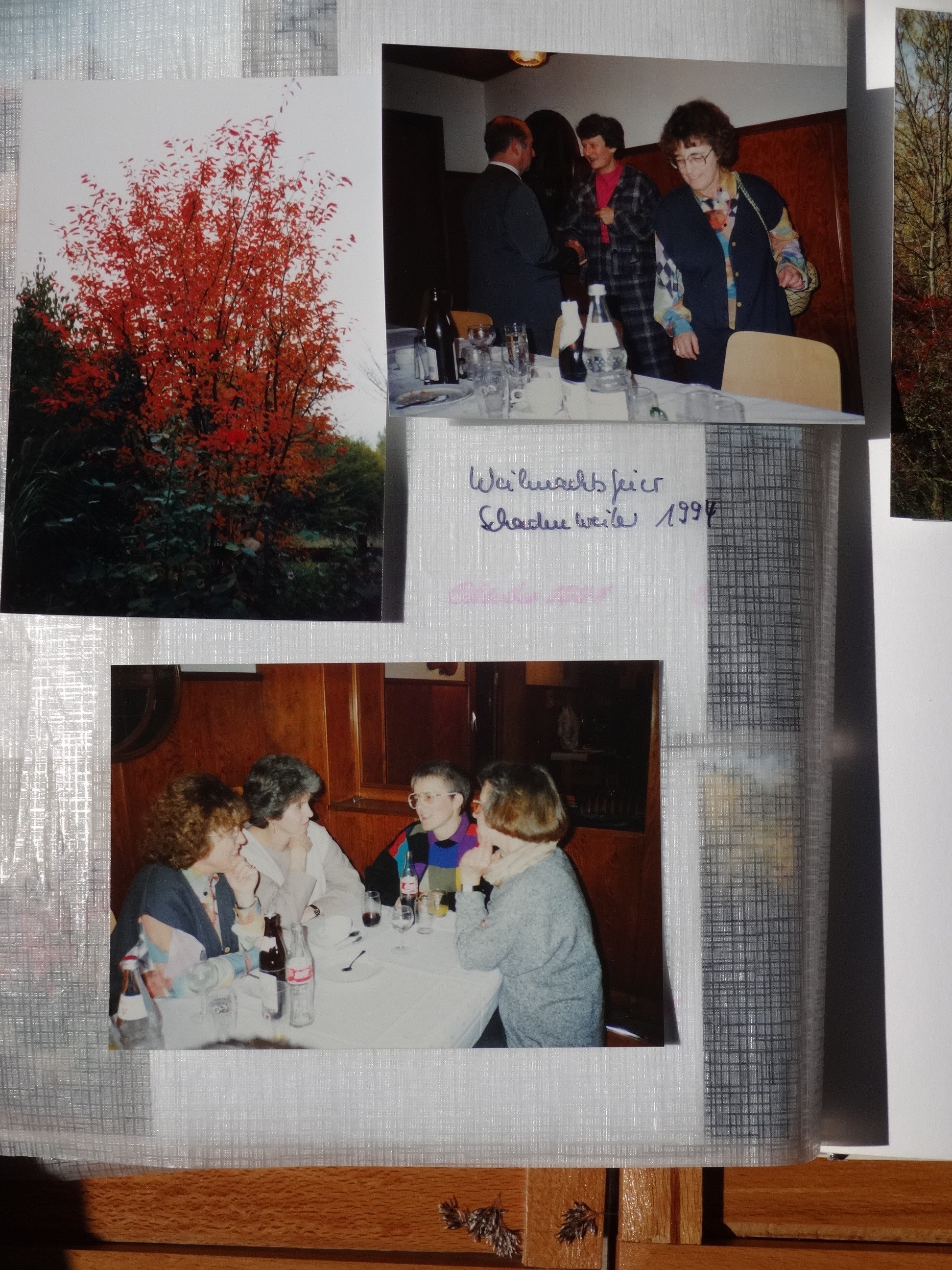 1994_450___von_Ordner___1993_1997