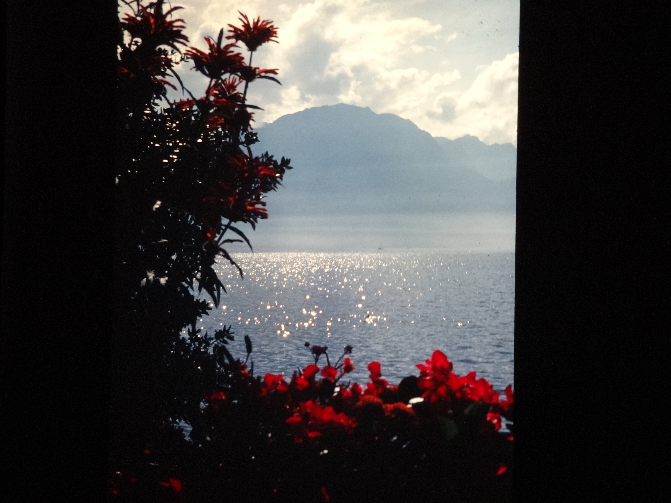 1994_glacier_panoramaexpress390___von_Ordner___1994_dias_glacier_schoppernau