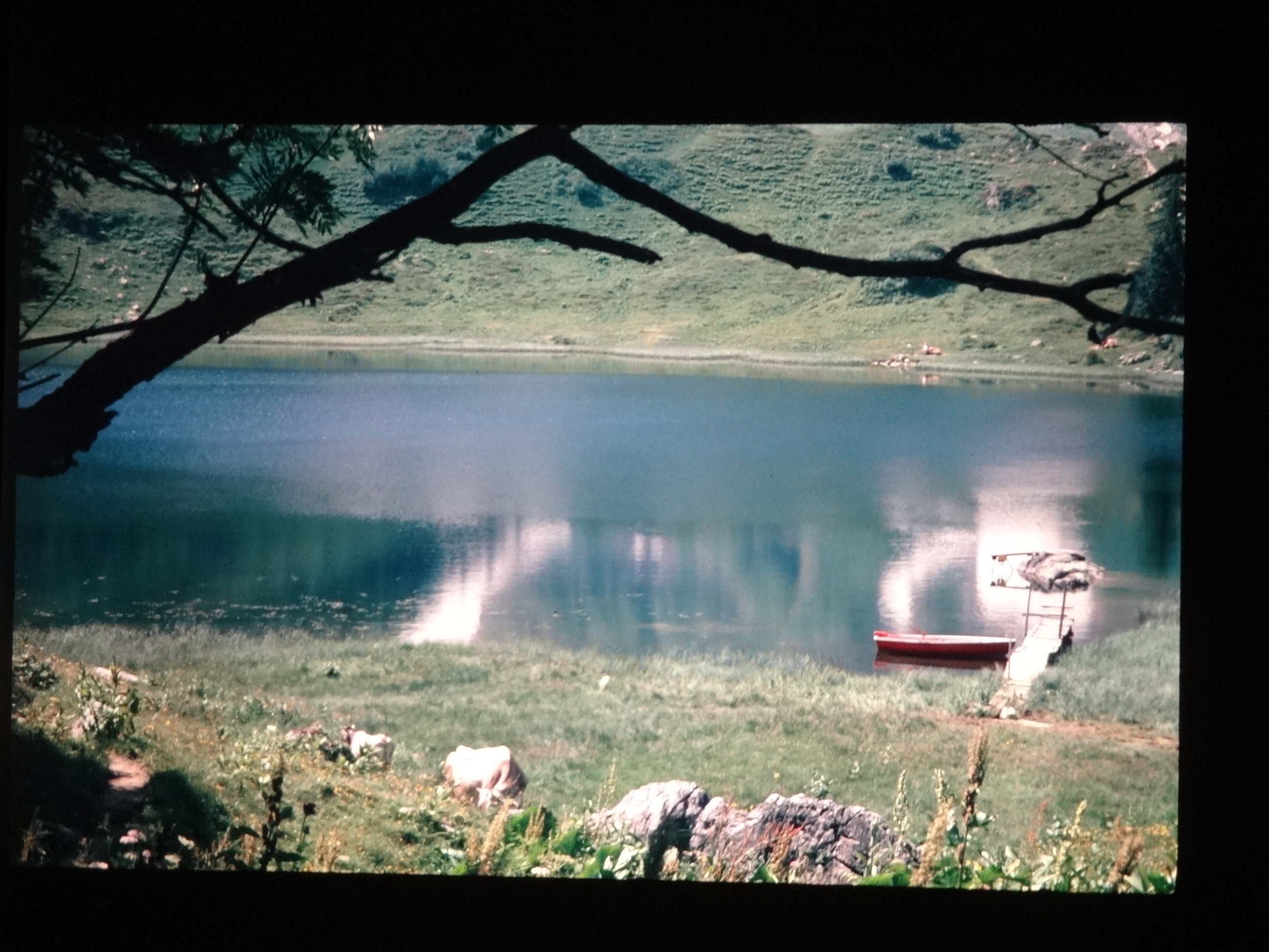 1994_schoppernaus020___von_Ordner___1994_dias_glacier_schoppernau