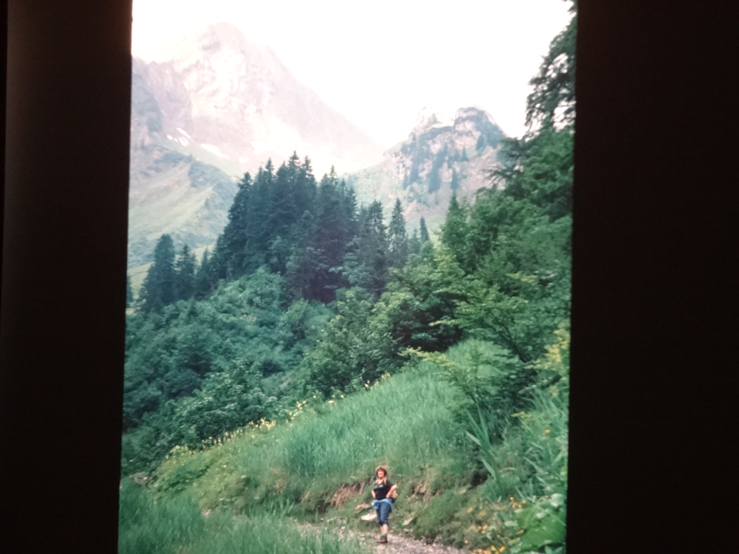 1994_schoppernaus120___von_Ordner___1994_dias_glacier_schoppernau
