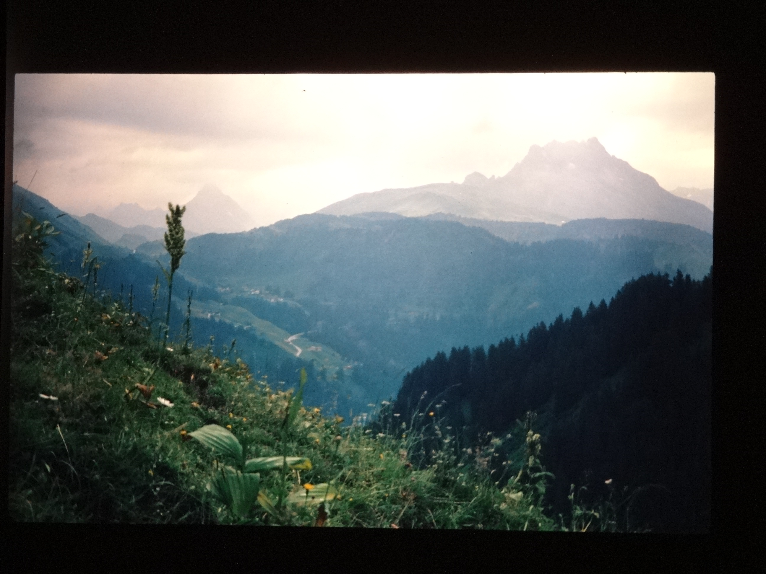 1994_schoppernaus130___von_Ordner___1994_dias_glacier_schoppernau