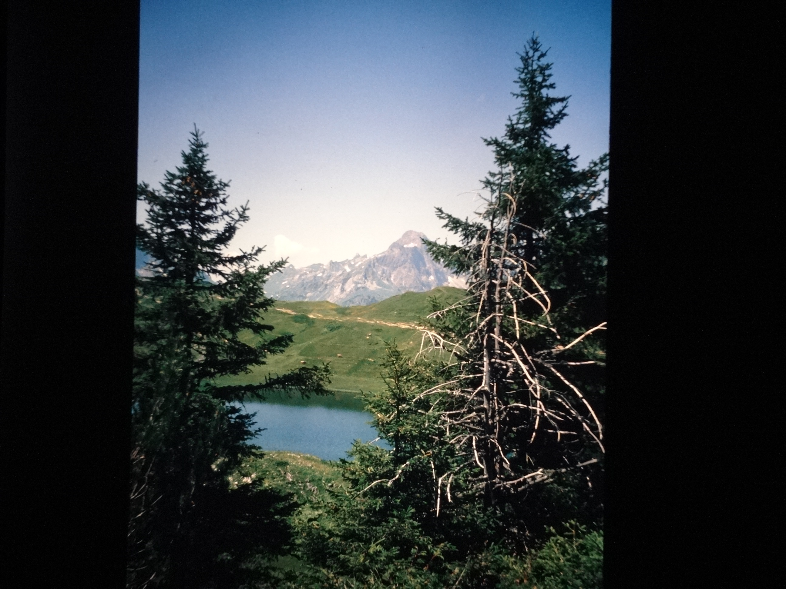 1994_schoppernaus160___von_Ordner___1994_dias_glacier_schoppernau