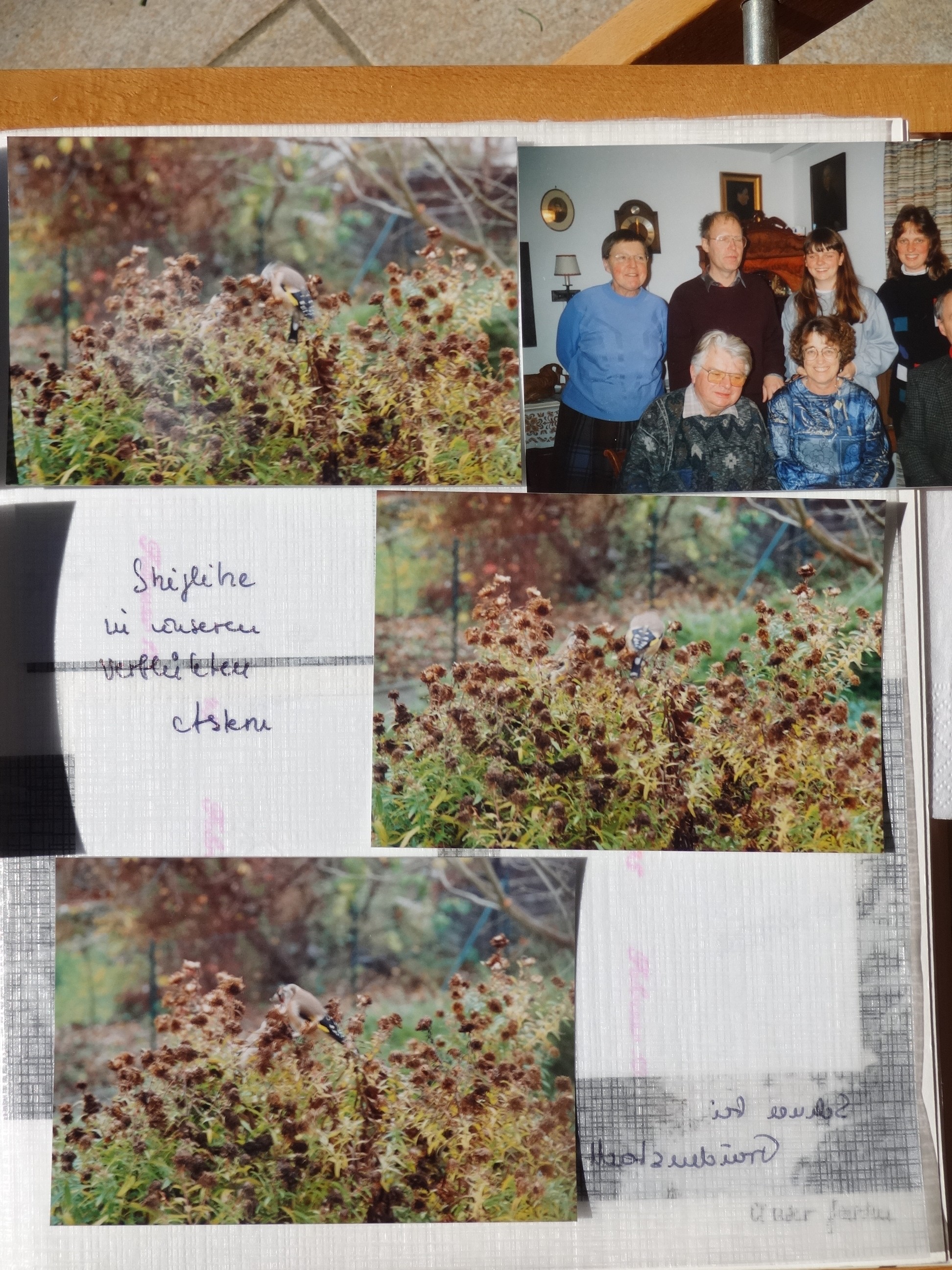 1995_010___von_Ordner___1993_1997